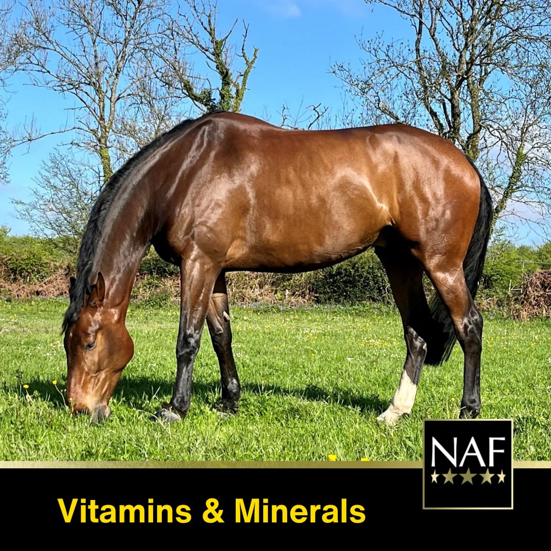NAF General Purpose 3kg Health Supplement 3kg Clear - Medaid International