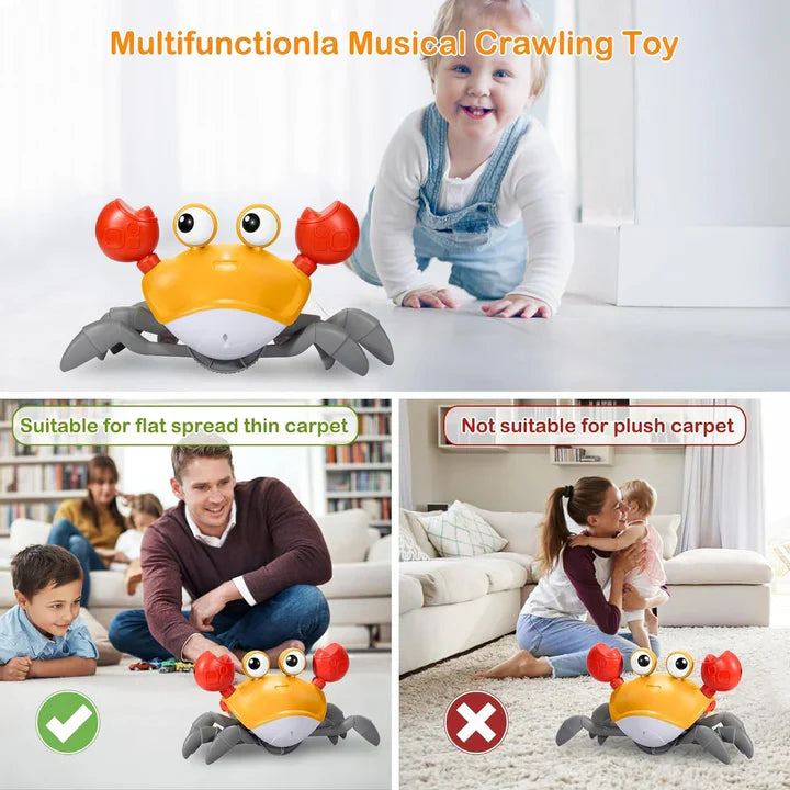 Crawling Crab Toy