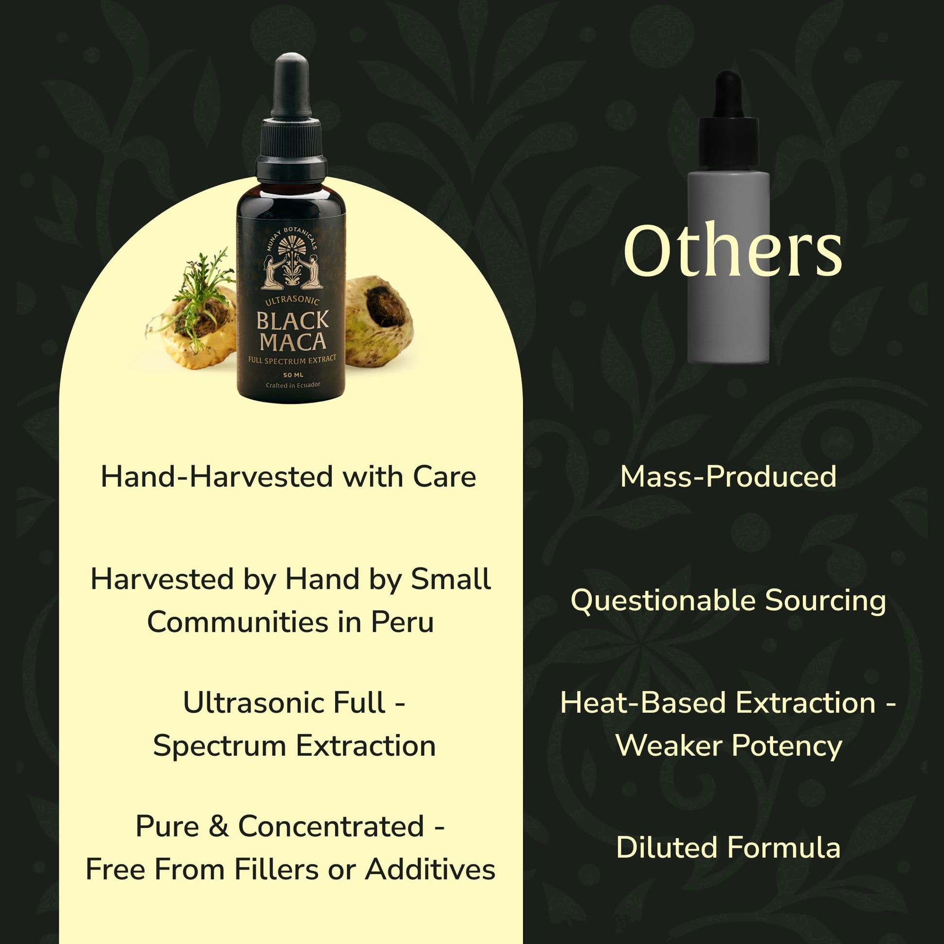 Munay Botanicals Black Maca Extract 50ml – Andean Plant-Based Ingredient for Endurance, Focus & Vitality | Traditionally Used for Generations | Vegan, Non-GMO Clean Maca Root Drops – 50 Servings - Medaid International