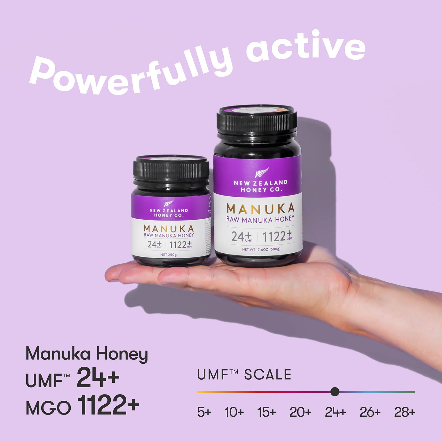 New Zealand Honey Co. Raw Manuka Honey UMF 24+ / MGO 1122+, UMF Certified / 8.8oz - Medaid International