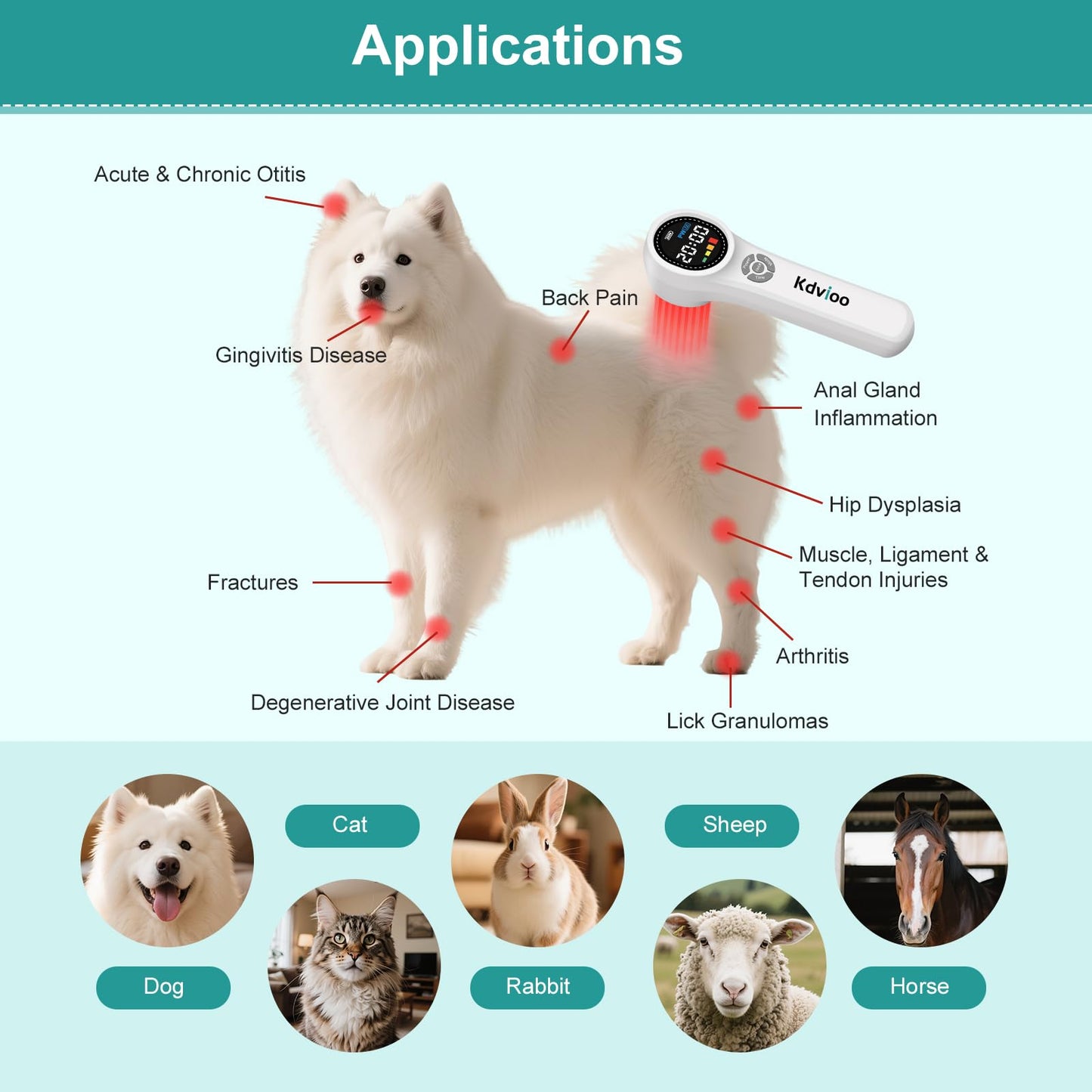 Kdvioo Cold Laser Therapy Device for Dogs, 16pcs 660nm & 4pcs 810nm & 4pcs 980nm Infrared Red Light Therapy Machine for Pain Relief, Arthritis, Spinal, Promote Blood Circulation, for Pets - Medaid International