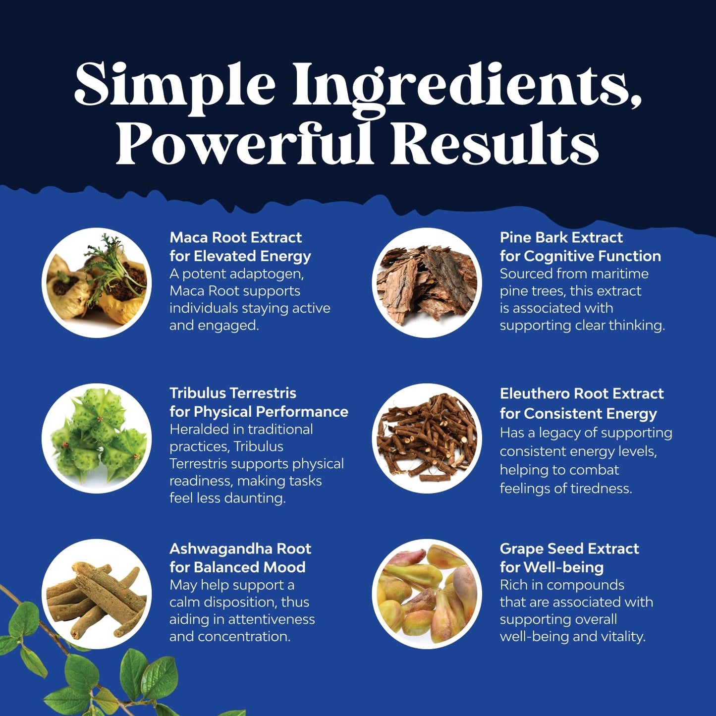 Potent Black Maca Root Capsules for Men - Herbal Wellness Supplement with Siberian Ginseng Ashwagandha and Black Maca Root - Men’s Wellness Supplement to Support General Health - 30 Count - Medaid International