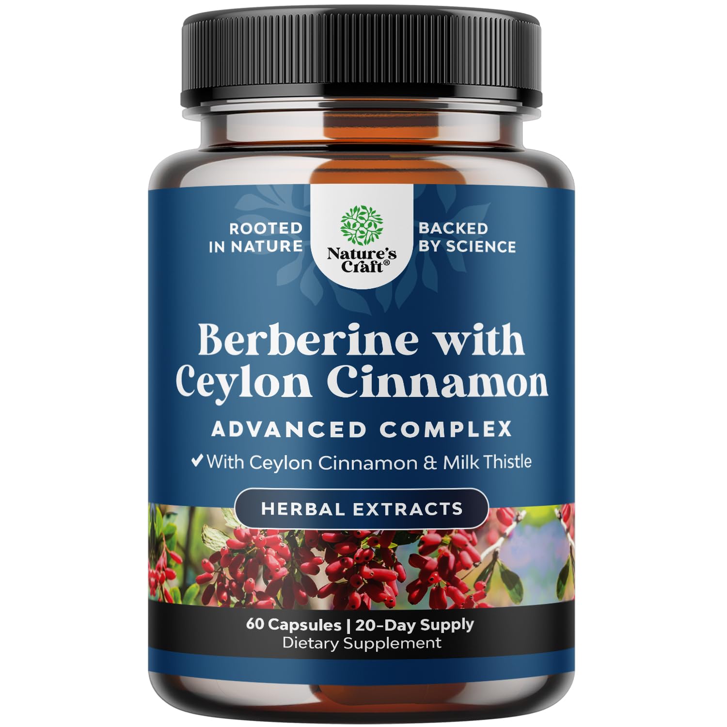 Balancing Berberine Plus 1200mg Per Serving Complex - Antioxidant Berberine with Ceylon Cinnamon Capsules Plus Silymarin Milk Thistle Extract - Active PK for Heart Health and Sugar Support 60 Capsules - Medaid International