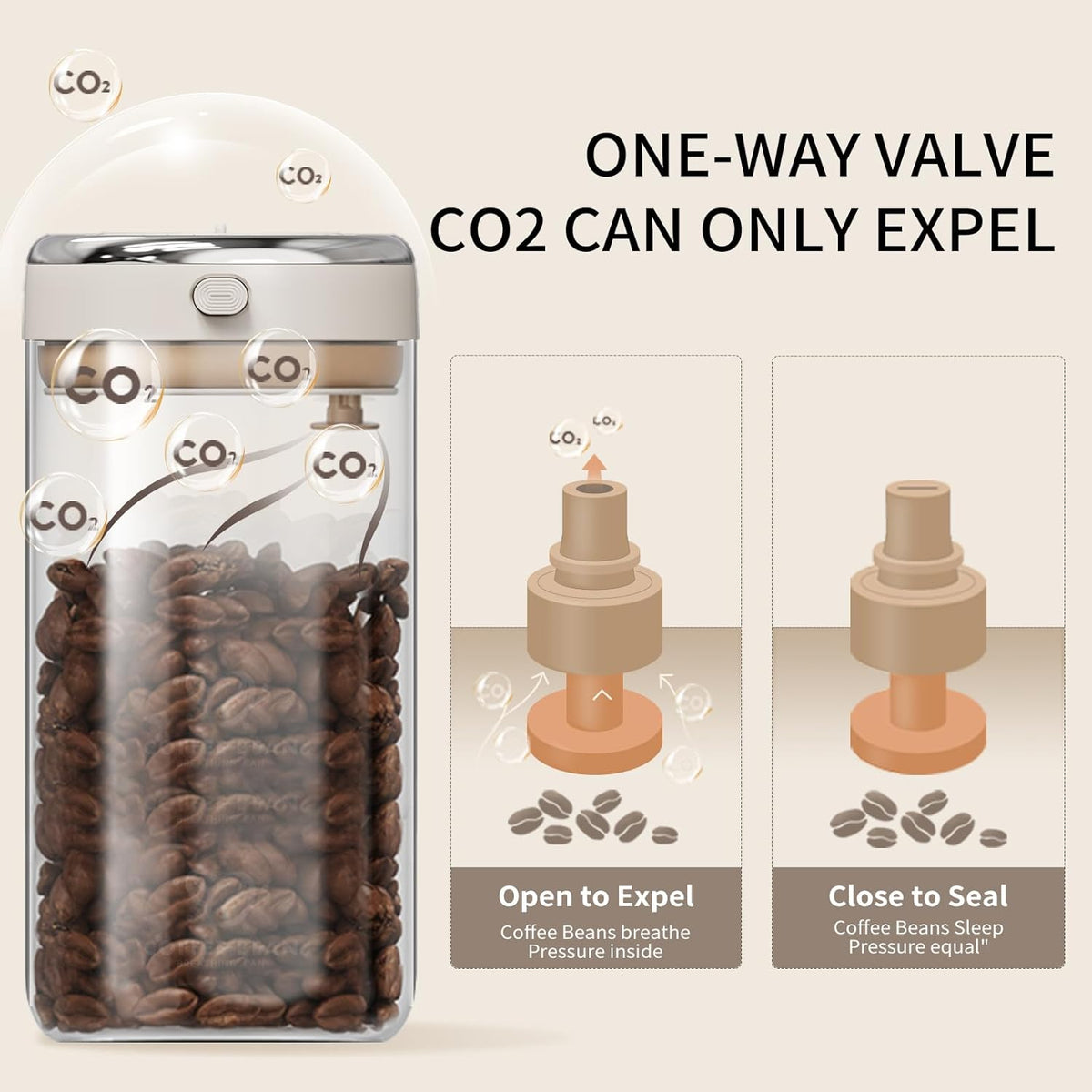 Airtight Coffee Container