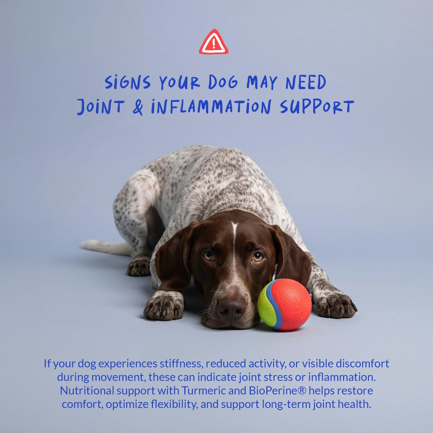 Turmeric for Dogs Anti Inflammatory Pain Relief - 120 Chewable Tablets - Hip & Joint Support Anti Inflammatory for Dogs with Curcumin and BioPerine, Antioxidant, Cardiovascular