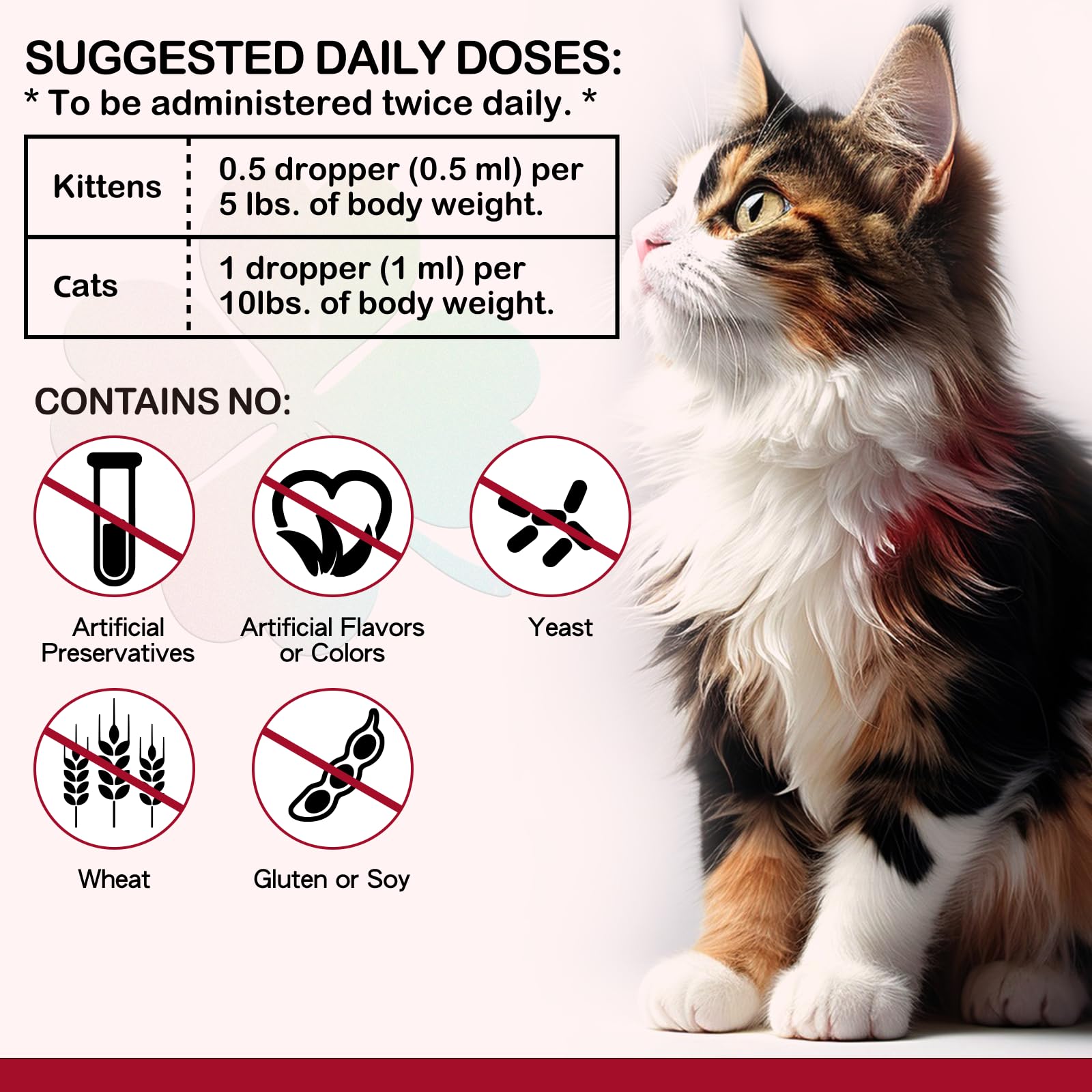 Iron for Cats with Anemia, 2 Fl Oz Liquid Iron Supplements for Cats Improves Anemia, Low Energy Levels and Lethargy, Promotes Blood Health - Medaid International