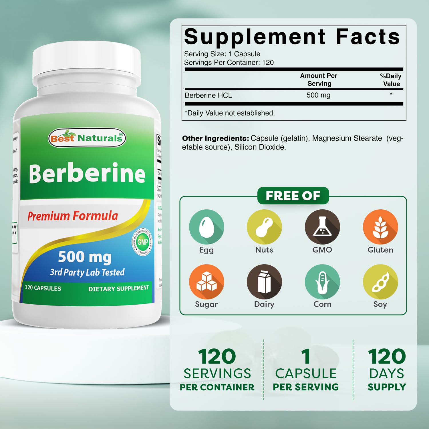 Best Naturals Berberine 500mg 120 Capsules - Supports Immune Function, Cardiovascular & Gastrointestinal Function (120 Count (Pack of 1)) - Medaid International