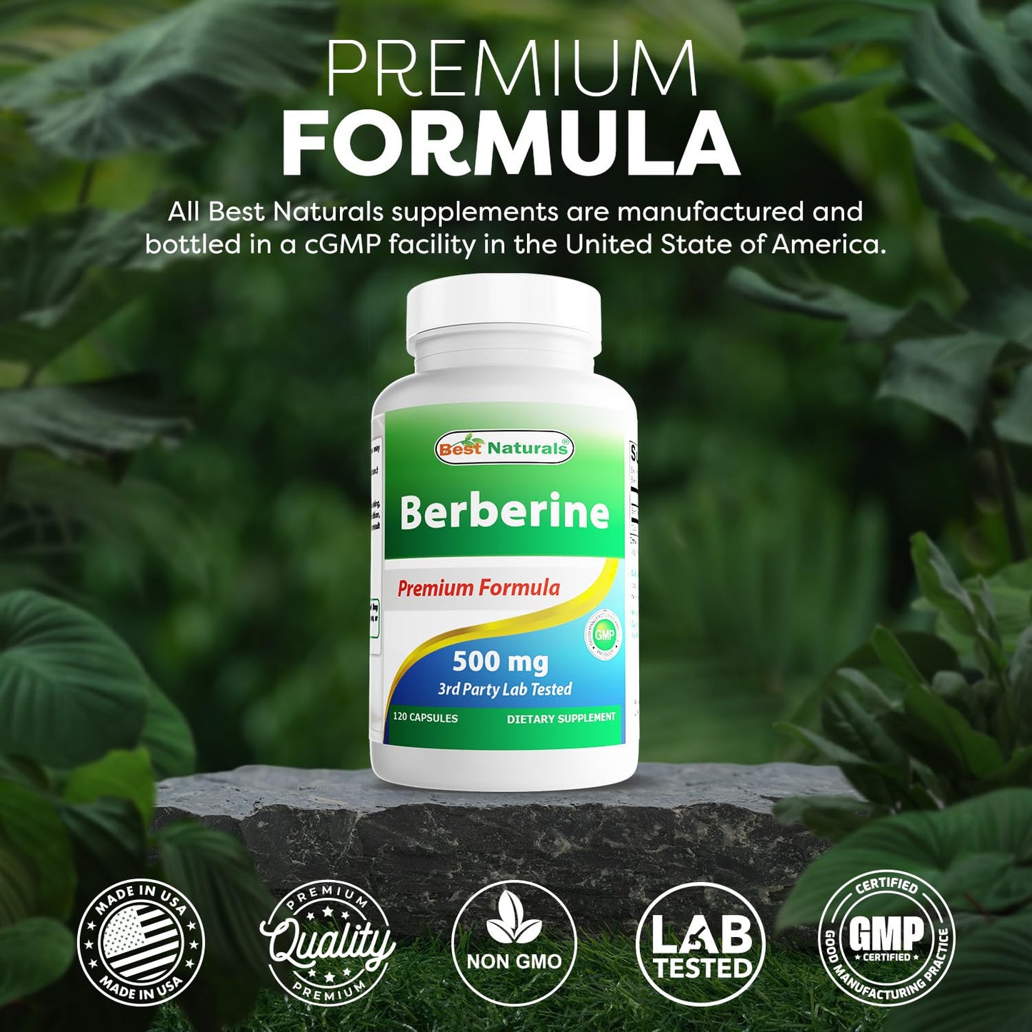 Best Naturals Berberine 500mg 120 Capsules - Supports Immune Function, Cardiovascular & Gastrointestinal Function (120 Count (Pack of 1)) - Medaid International