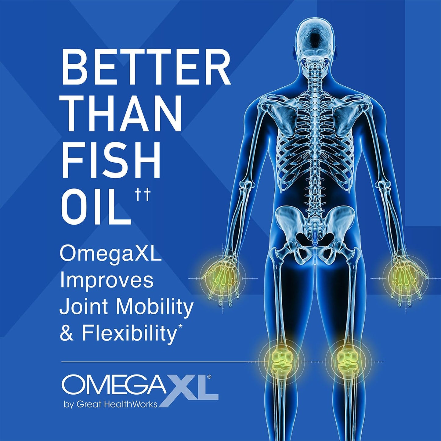 OmegaXL Joint Support Supplement - Natural Muscle Support, Green Lipped Mussel Oil, Soft Gel Pills, Drug-Free, 300 Count - Medaid International