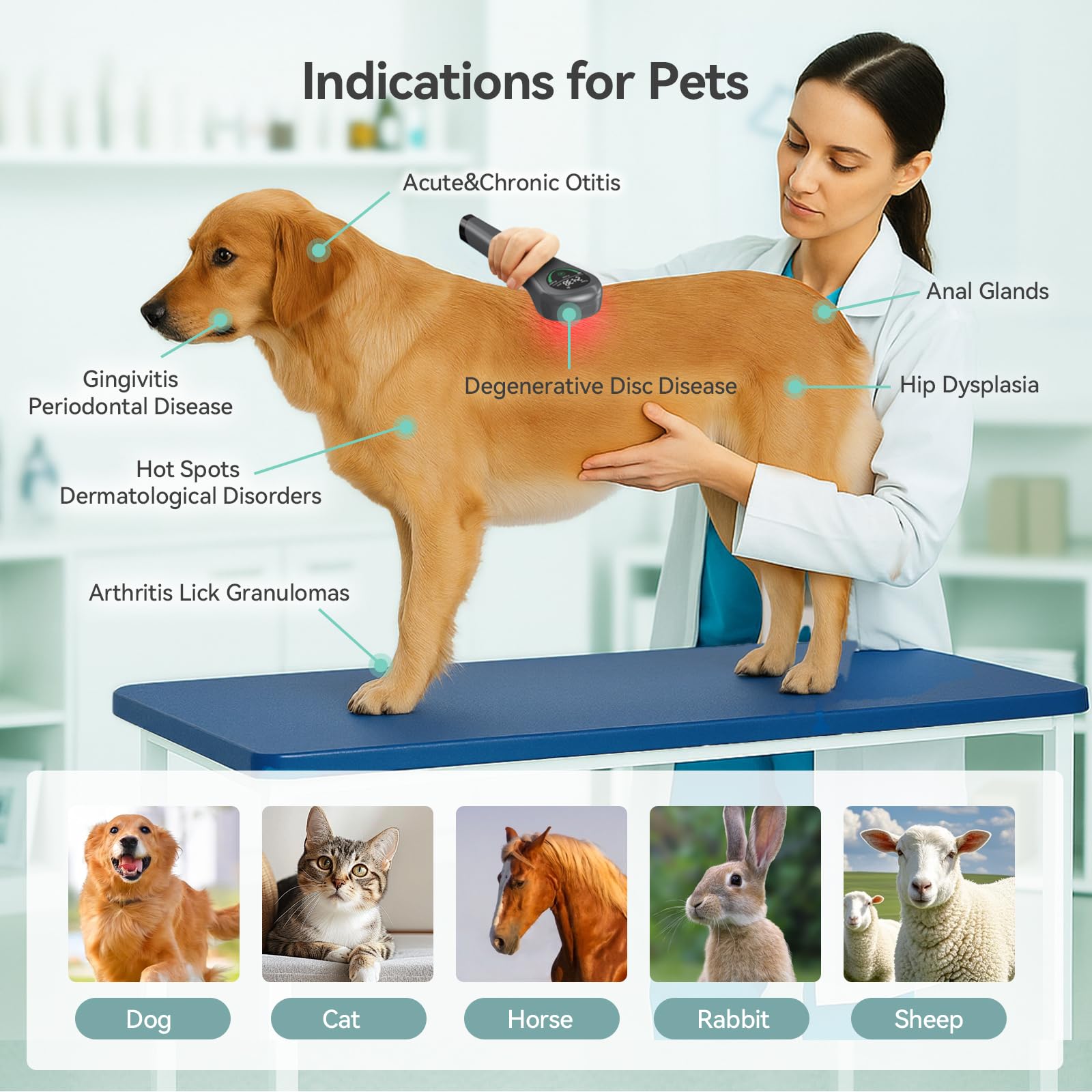 LAFCARE Handheld Red Light Therapy with Stand,Near Infrared Light Therapy Devices for Pain Relief Joint and Muscle Pain for Pets(4 * 808nm+14 * 650nm) - Medaid International