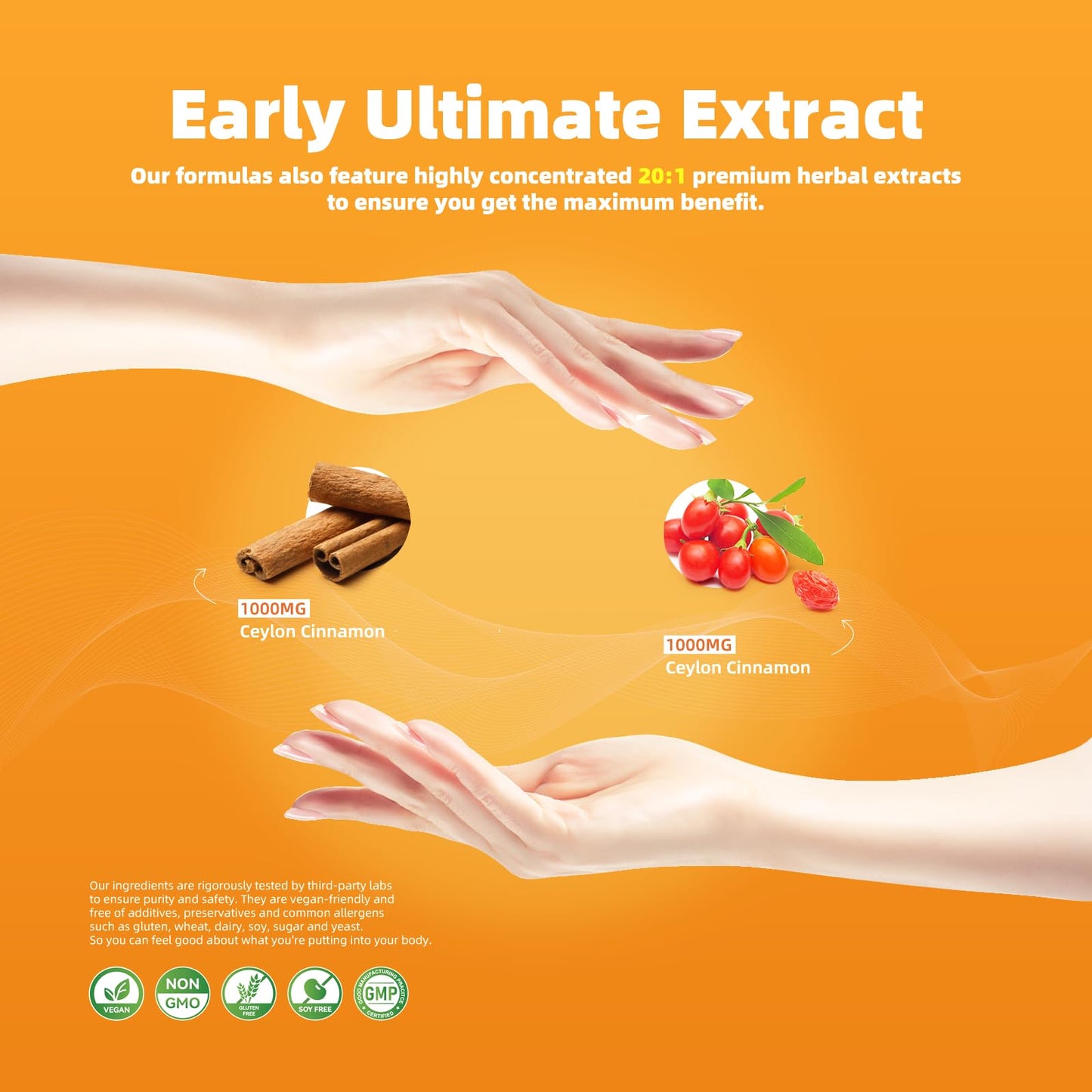 ElevateLife Berberine Supplement - Berberine 1500mg Per Serving,120 Capsules - Berberine HCI - Berberine Plus - Plus Pure True Ceylon Cinnamon, Berberine HCI Root Supplements Pills - Medaid International