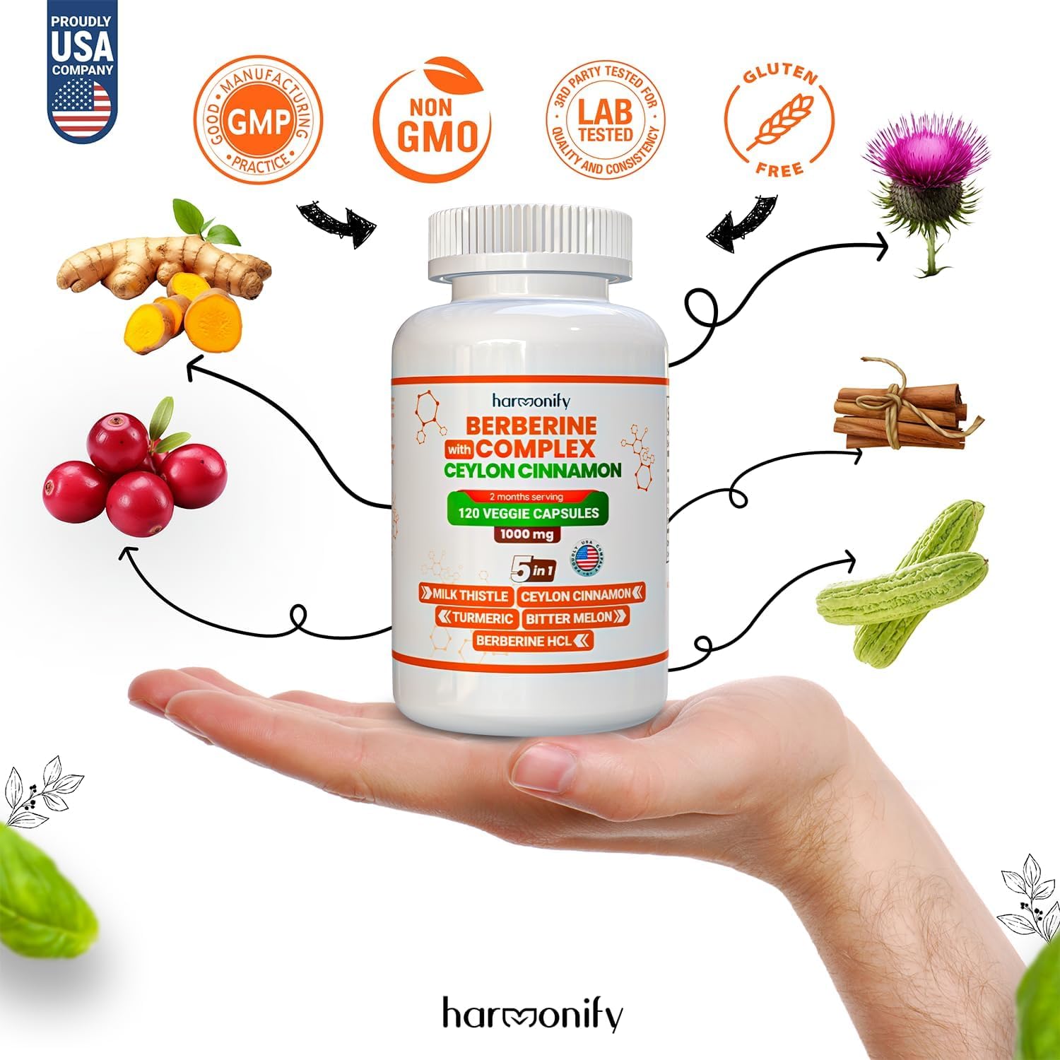HARMONIFY Berberine Supplement with Ceylon Cinnamon, Milk Thistle, Turmeric, Bitter Melon Complex, 120 Capsules, 1000 mg, Vegan, Non-GMO - Medaid International