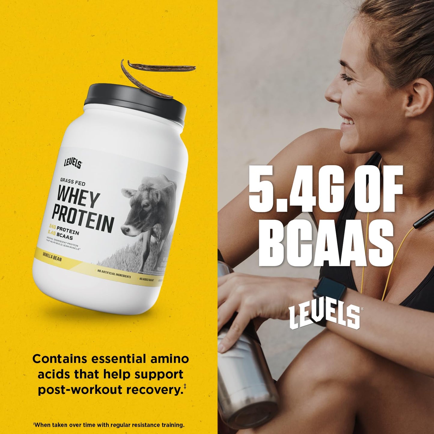 Levels Grass Fed Whey Protein Powder, No Artificials, 24G of Protein, Vanilla Bean, 2LB - Medaid International