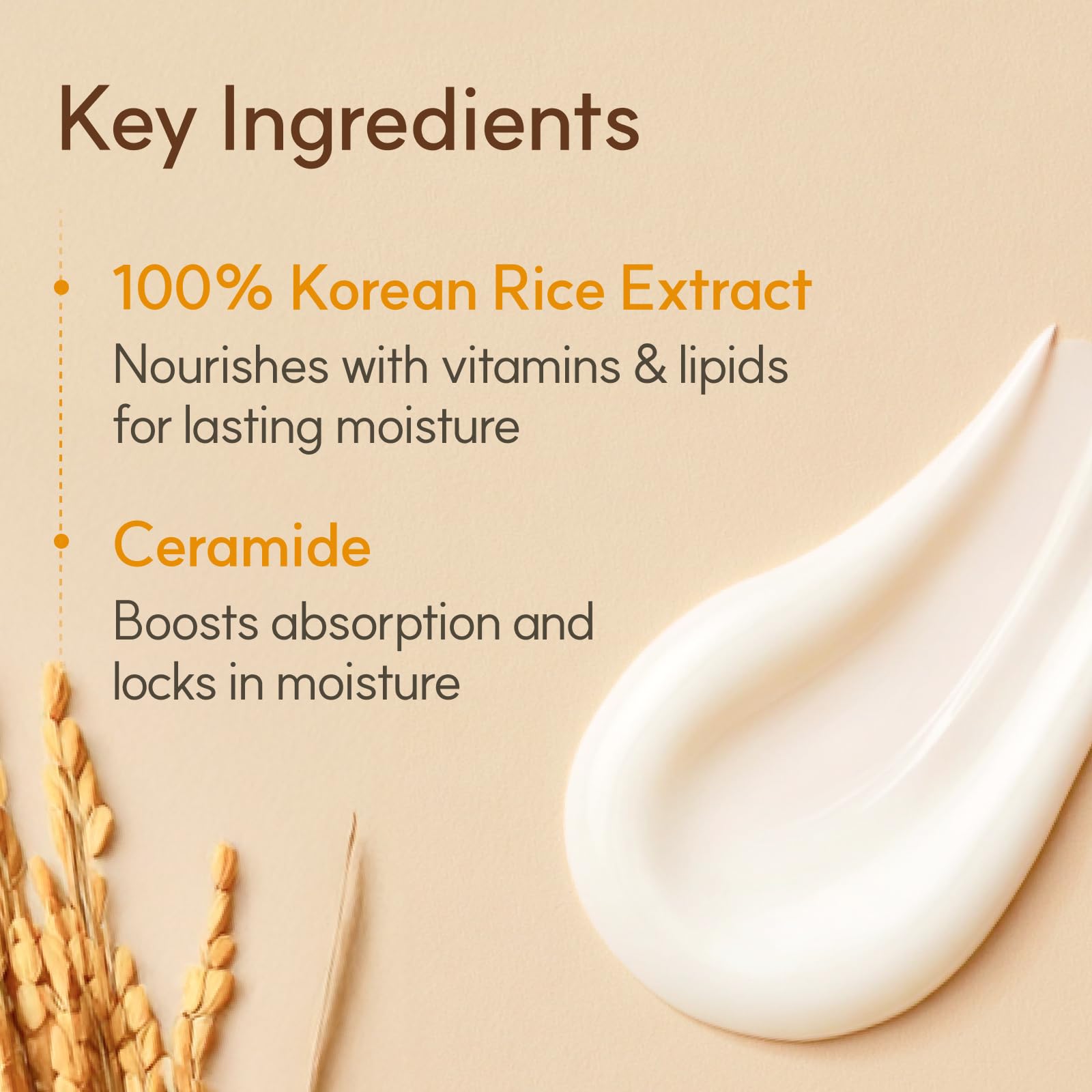 The Face Shop Rice Ceramide Cream, Hydrating Face Moisturizer, for Dry & Combination Skin, Lightweight, Fast-absorbing, 1.69 fl. oz. - Medaid International