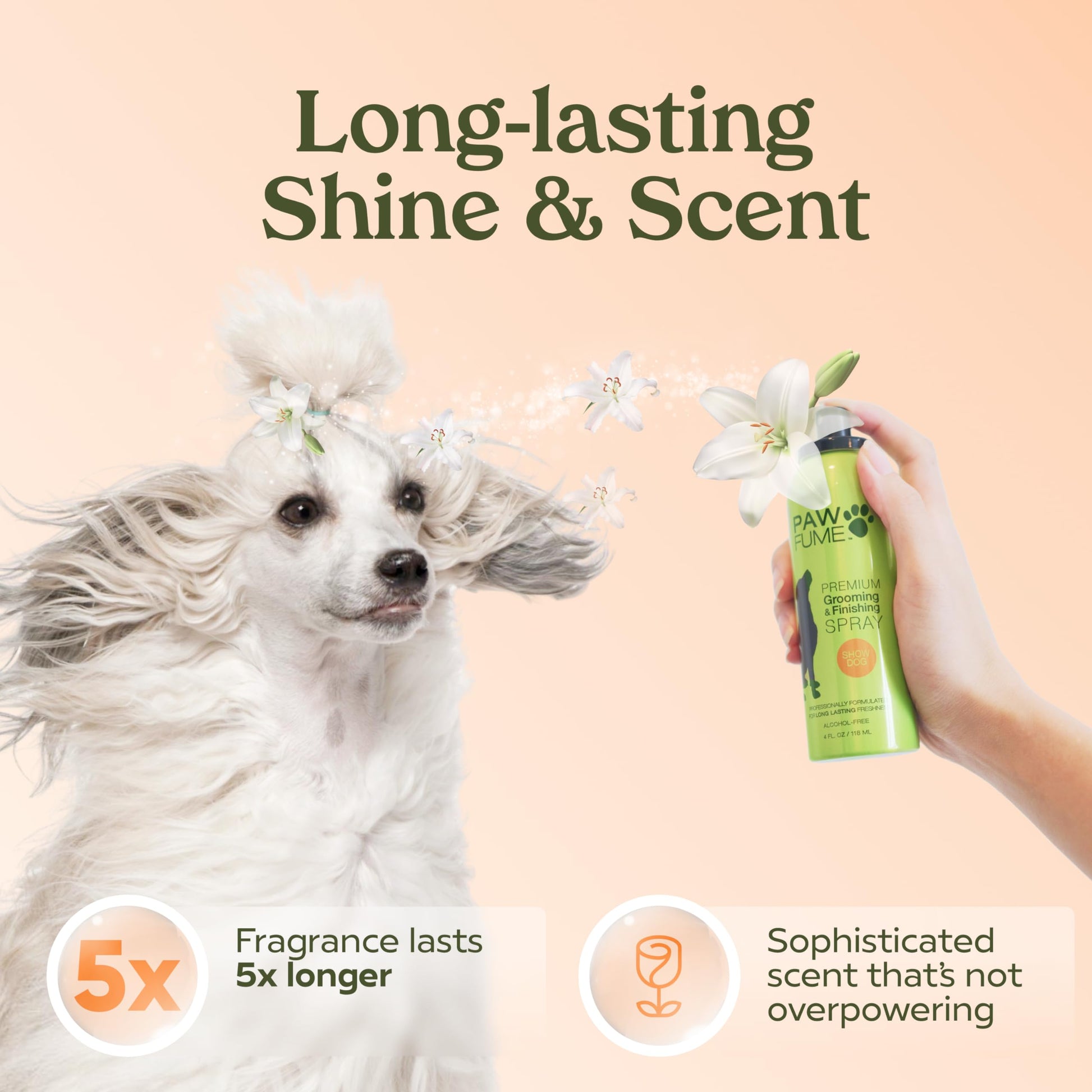 PAWFUME Dog Perfume Spray Long Lasting Scent for Grooming, Show Dog, 1-Pack – Keep Your Pup Fresh All Day – Hypoallergenic, Alcohol-Free, Detangling Formula – Moisturizing Pet Cologne Spray for Dogs - Medaid International