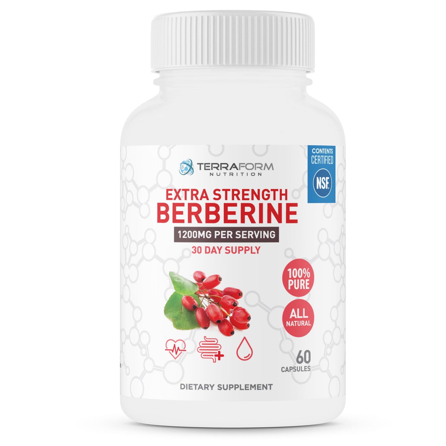 Berberine Supplement - 1200mg Max Strength Berberine HCl Per Serving - Pure Berberine - 60 Capsules, 600mg Each - 1 Month Supply - TerraForm Nutrition - Medaid International