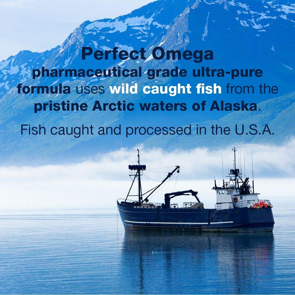 Therabotanics Perfect Omega Fish Oil Supplement EPA & DHA – High Absorption, Concentrated Omega 3 for Heart, Brain, Eye, & Metabolic Health - Alaskan Fish Oil Softgels - 30 Count (Pack of 1) - Medaid International