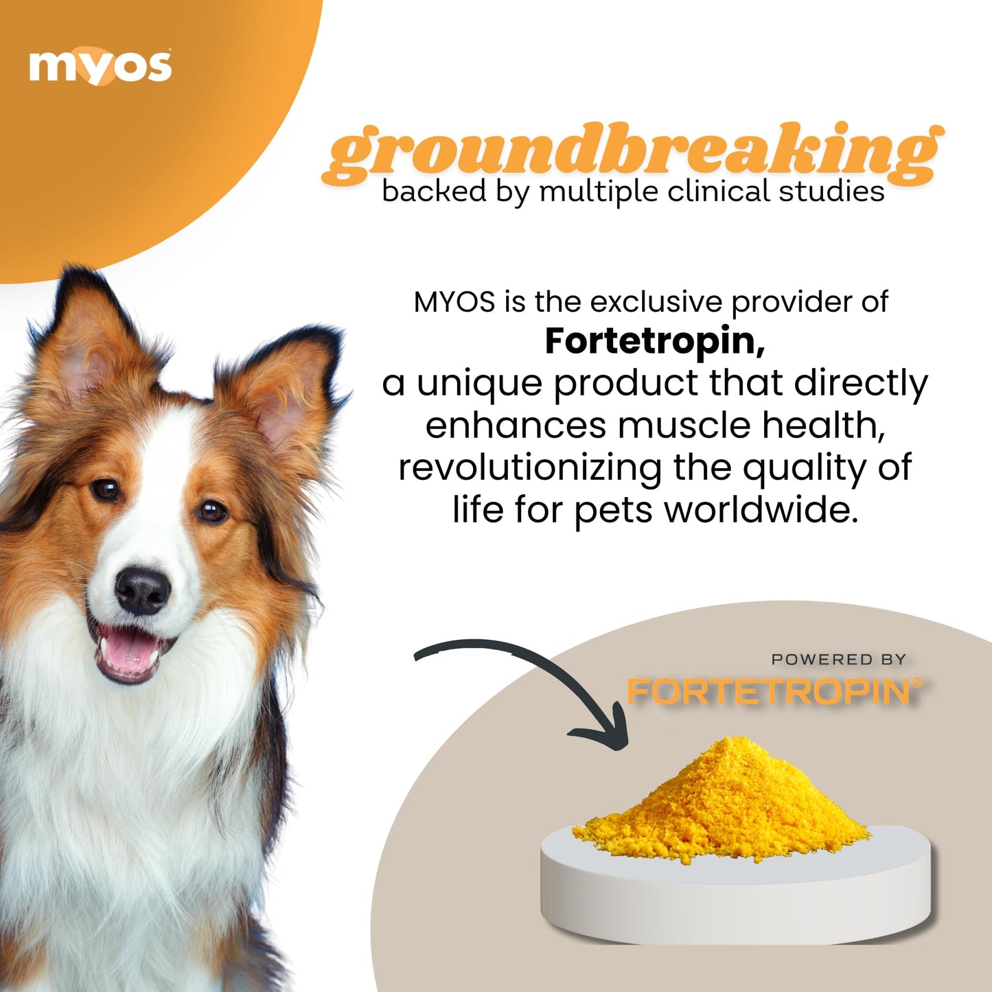 MYOS Canine Muscle Formula - All-Natural Muscle Building Supplement - Helps Reduce Muscle Loss in Aging Dogs and Improve Recovery from Injury or Surgery - Medaid International