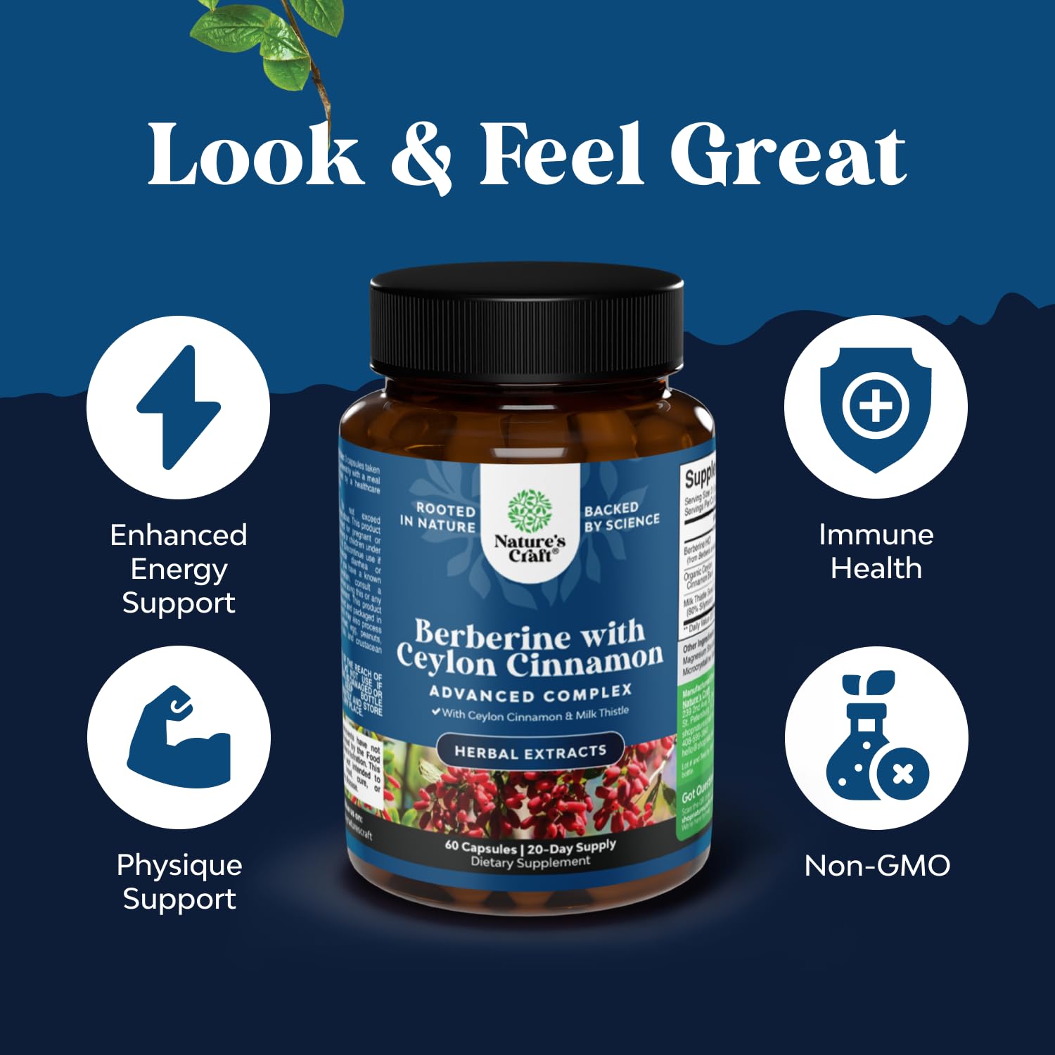 Balancing Berberine Plus 1200mg Per Serving Complex - Antioxidant Berberine with Ceylon Cinnamon Capsules Plus Silymarin Milk Thistle Extract - Active PK for Heart Health and Sugar Support 60 Capsules - Medaid International
