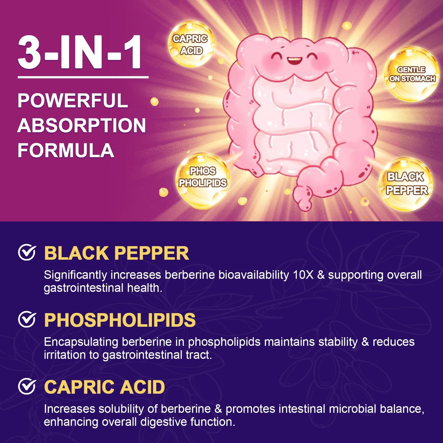 ZEBORA Premium Berberine HCL Supplement 1200 mg, Berberine GLP-1 Support with Ceylon Cinnamon, ALA & Capric Acid, Supports Immune & Antioxidant, Non-GMO, 120 Capsules - Medaid International