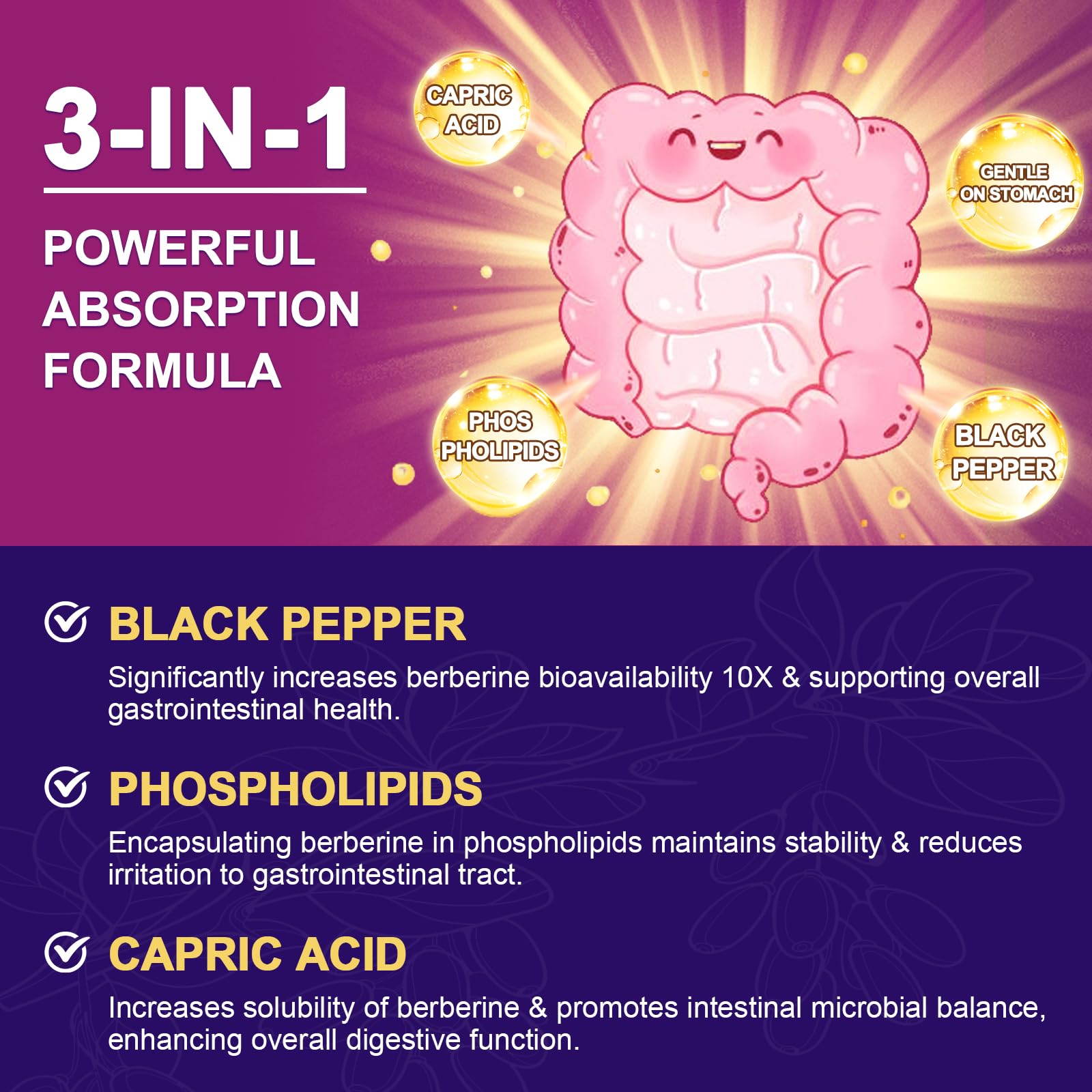 ZEBORA Premium Berberine HCL Supplement 1200 mg, Berberine GLP-1 Support with Ceylon Cinnamon, ALA & Capric Acid, Supports Immune & Antioxidant, Non-GMO, 120 Capsules - Medaid International