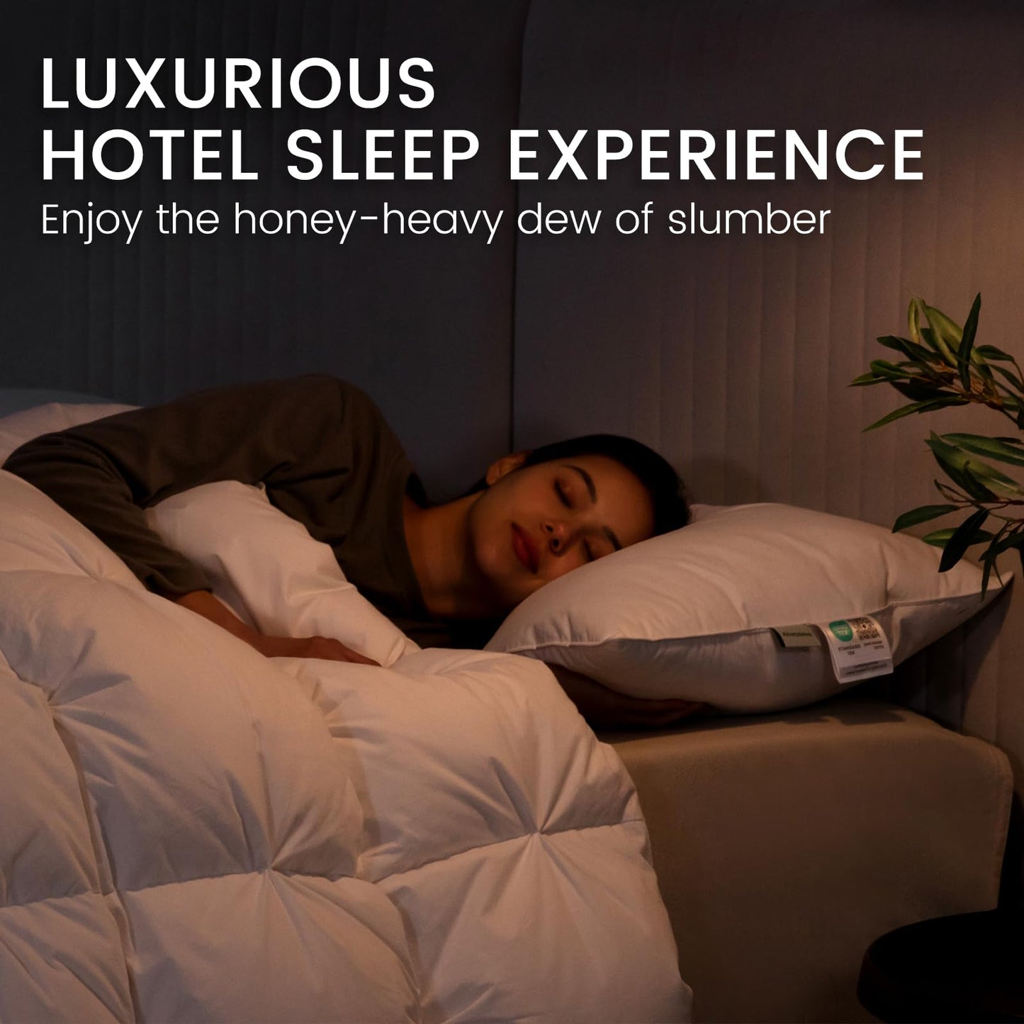 Alanzimo Goose Feathers Down Pillows Standard/Queen Size Set of 2, Luxury Soft Feather Down Pillow for Sleeping, 100% Cotton Cover Hotel Collection Bed Pillows for Back,Stomach or Side Sleepers 20x28 - Medaid International