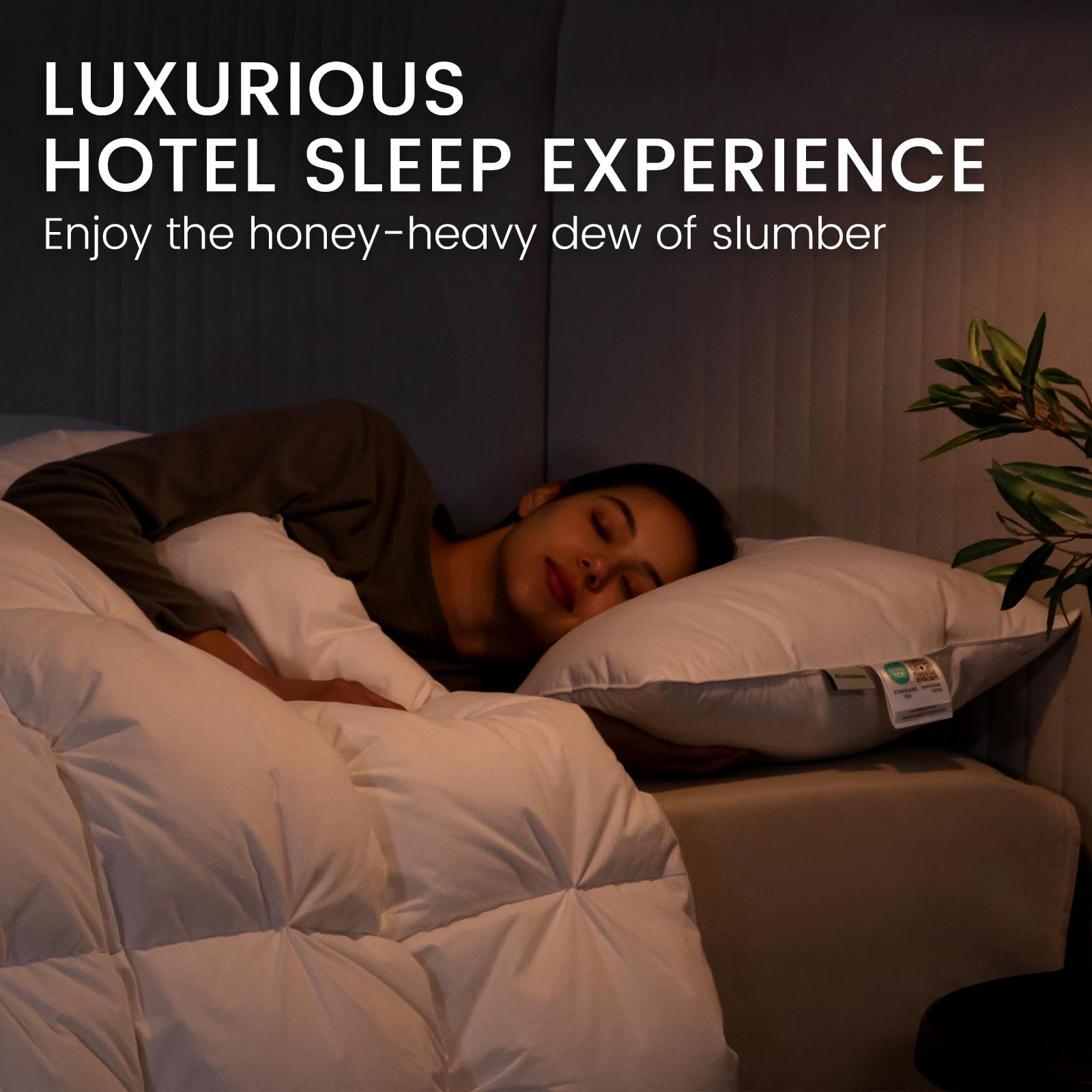 Alanzimo Goose Feathers Down Pillows Standard/Queen Size Set of 2, Luxury Soft Feather Down Pillow for Sleeping, 100% Cotton Cover Hotel Collection Bed Pillows for Back,Stomach or Side Sleepers 20x28 - Medaid International