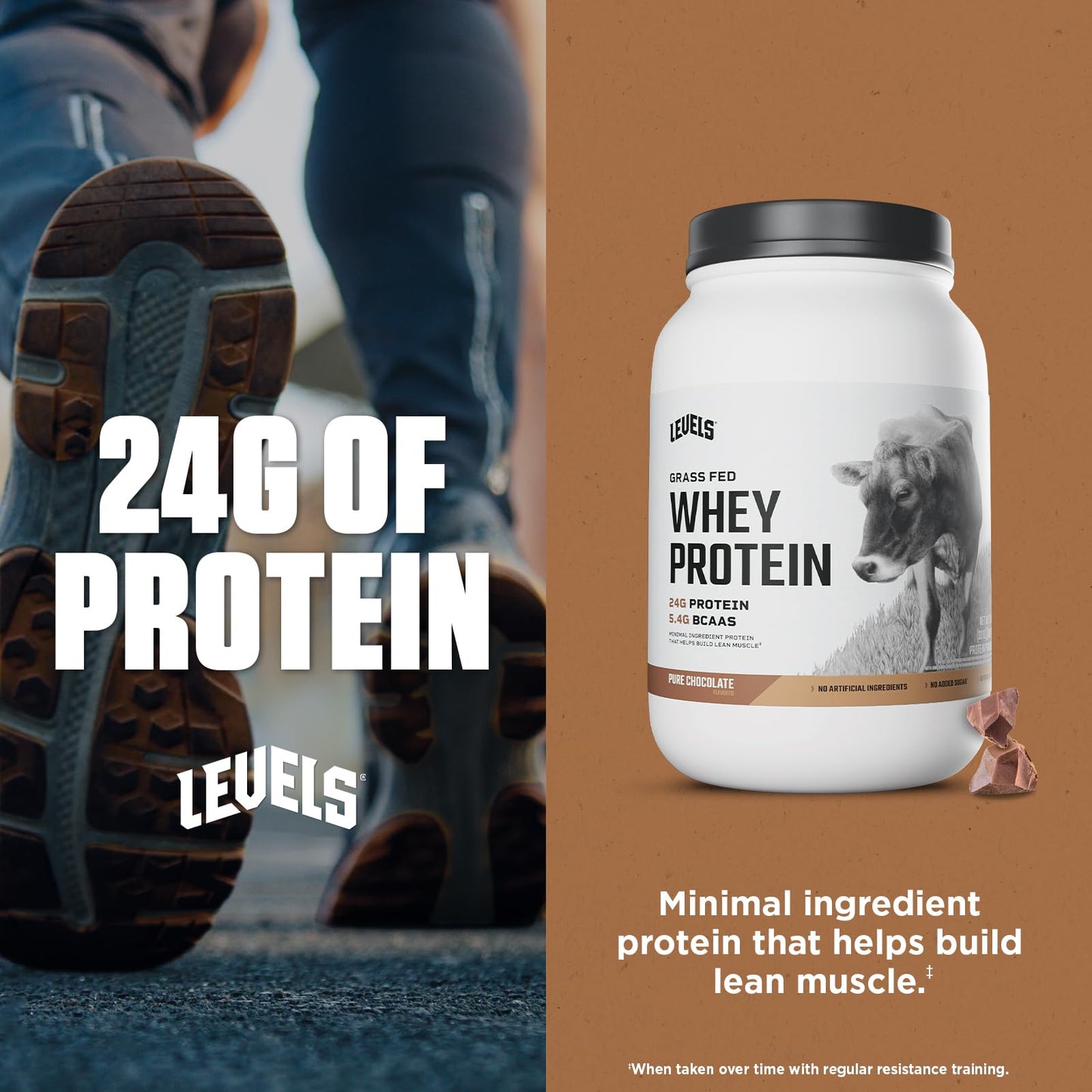 Levels Grass Fed Whey Protein Powder, No Artificials, 24G of Protein, Pure Chocolate, 2LB - Medaid International