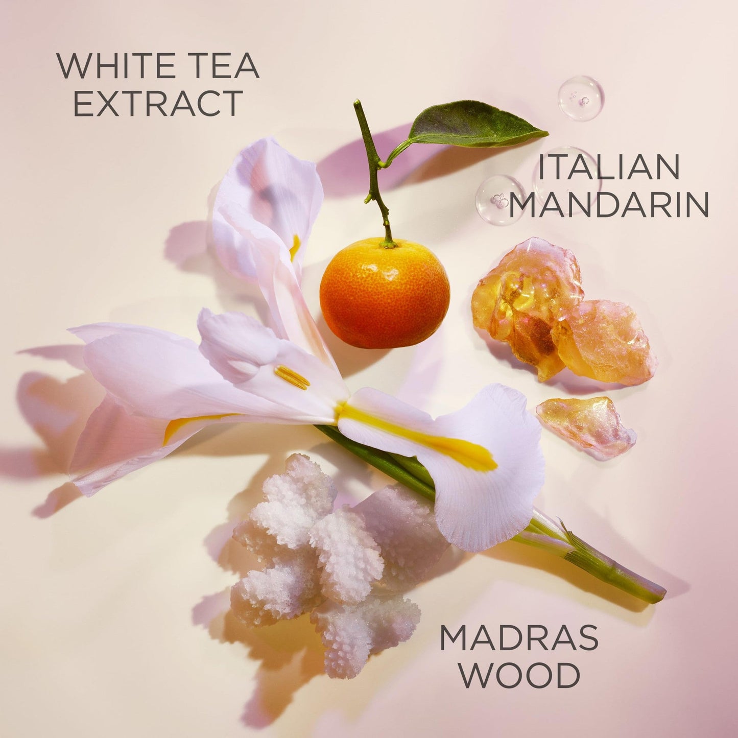 Elizabeth Arden White Tea Eau de Toilette Spray, Perfume for Women with Notes of Clary Sage, White Iris, Musk, Woody & Floral, 1 fl oz - Medaid International