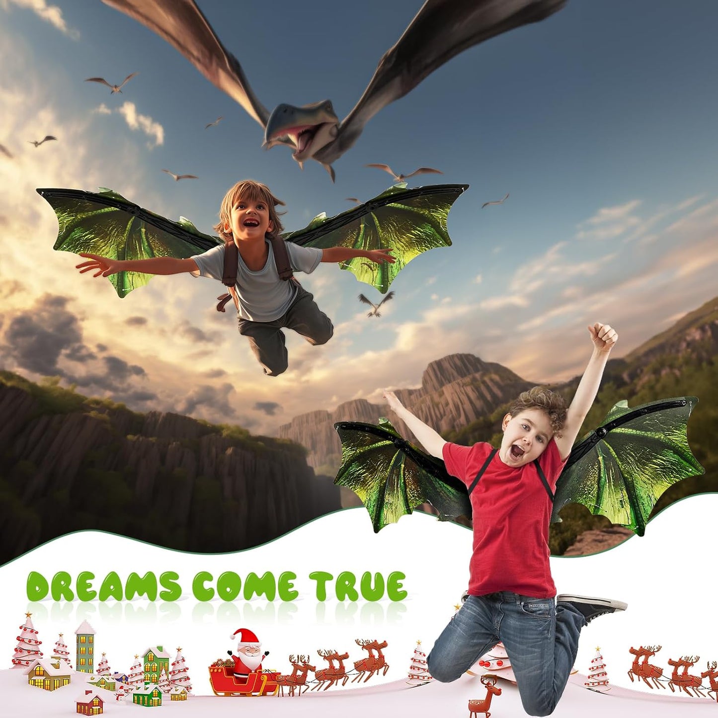 Dragon Wings - Medaid International