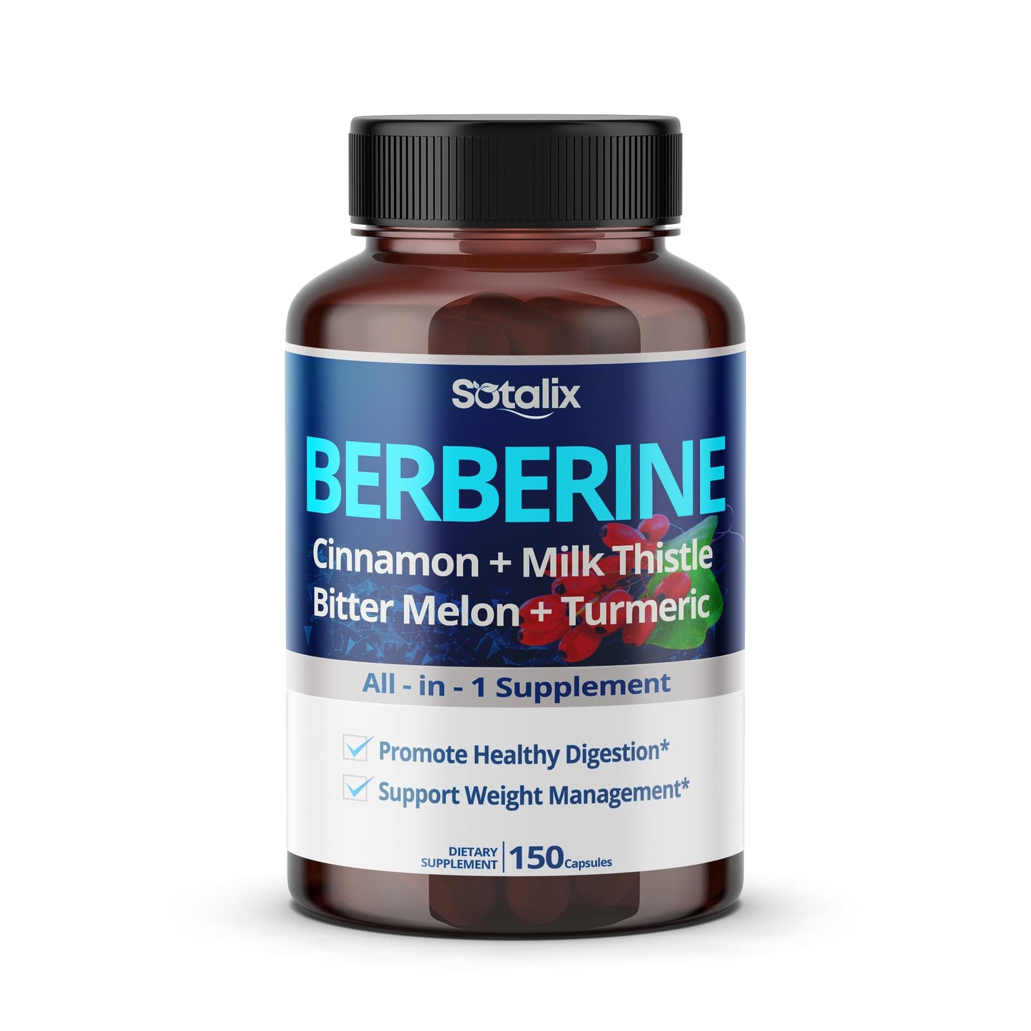 Premium Berberine Supplement with Ceylon Cinnamon, Bitter Melon, Milk Thistle - 150 Day Supply (150 Count (Pack of 1)) - Medaid International