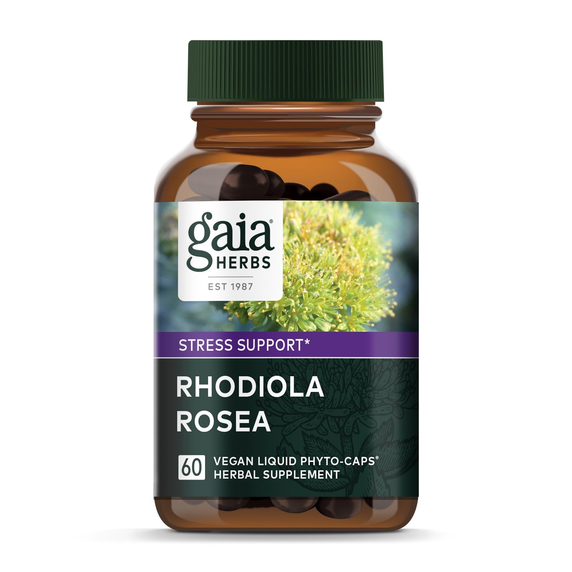 Gaia Herbs Rhodiola Rosea - Stress Support Supplement Traditionally for Supporting Healthy Stamina & Endurance - with Siberian Rhodiola Root Extract* - 60 Vegan Liquid Phyto-Capsules (30-Day Supply) - Medaid International