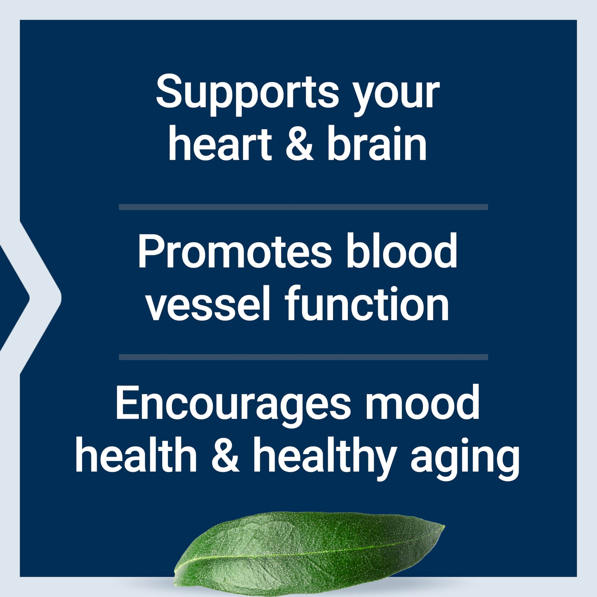 Life Extension Super Omega-3 EPA/DHA Fish Oil, Sesame Lignans & Olive Extract – Heart Health, Brain Health, Inflammation Health Support, Gluten-Free, Easy to Swallow, Non-GMO, 240 Softgels - Medaid International