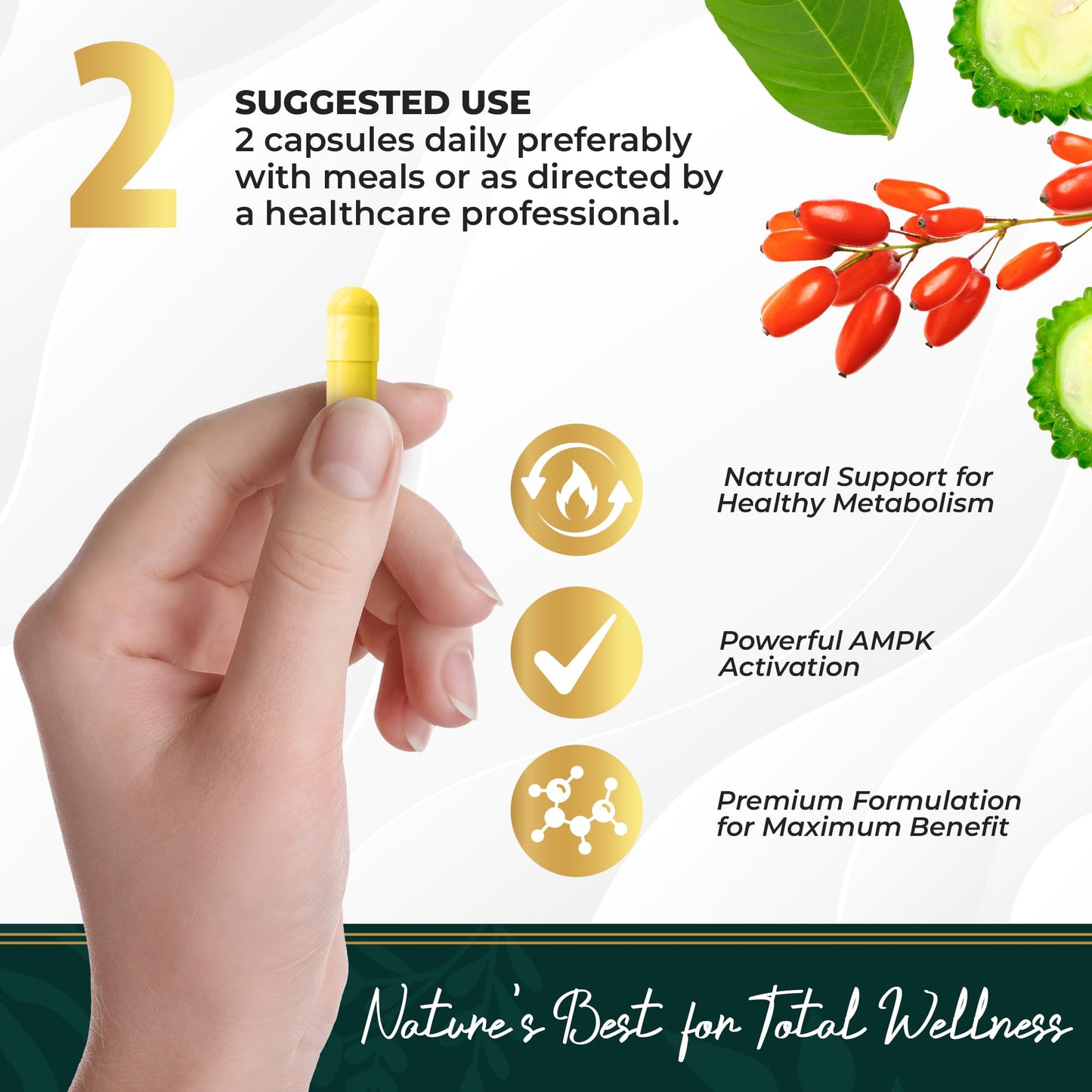 oliv Pure Berberine Supplement Capsules – Berberine HCI 1000mg - Natural Metabolic Support with 200mg Bitter Melon Fruit Extract and 50mg Banaba Leaf – 2 Veggie Capsules Daily (30 Servings) - Medaid International