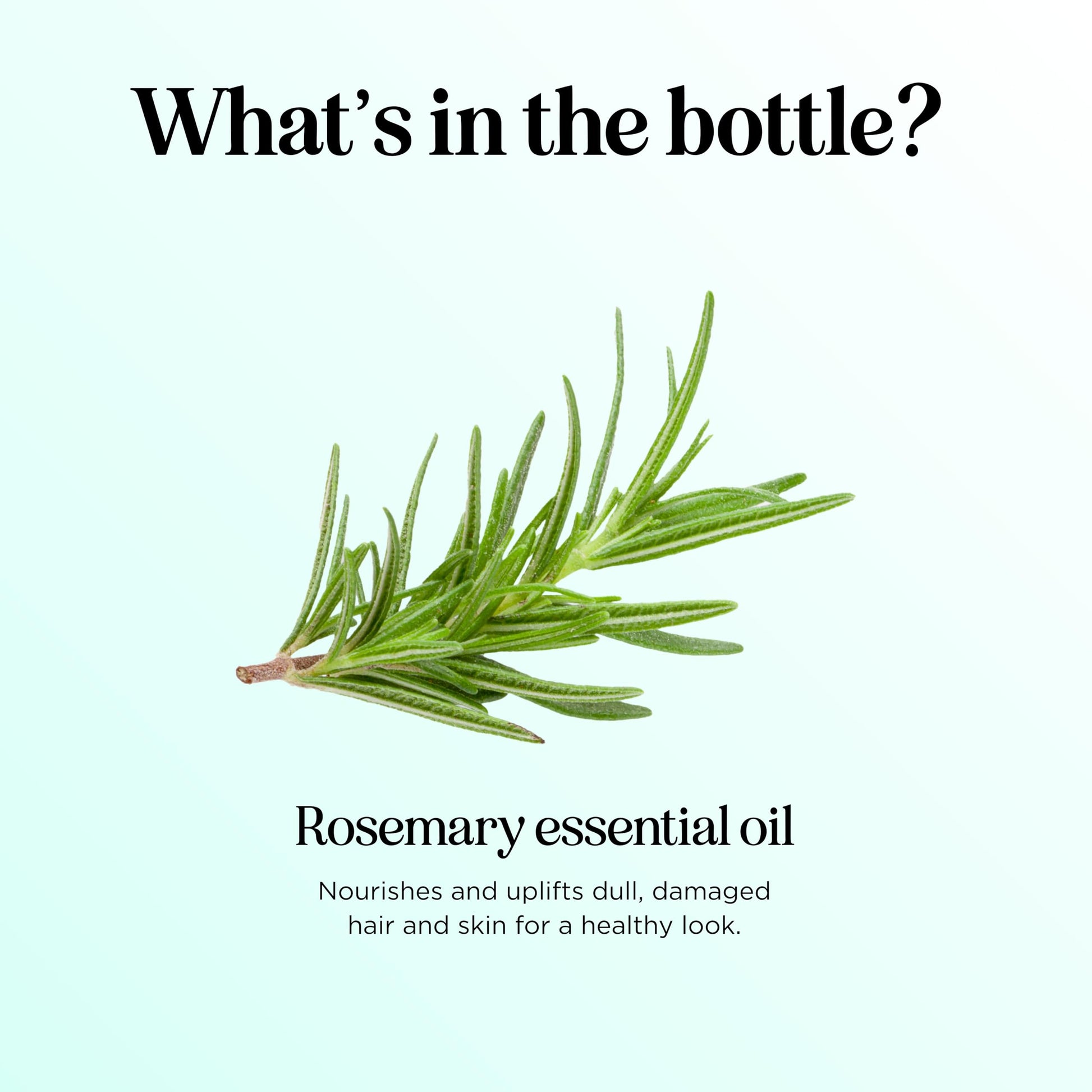 Pure Rosemary Essential Oil with Dropper - Undiluted Rosemary Oil for Hair Skin and Nails and Refreshing Aromatherapy Oil for Diffusers - Essential Oil for Cleansing Dry Scalp Care 4oz - Medaid International