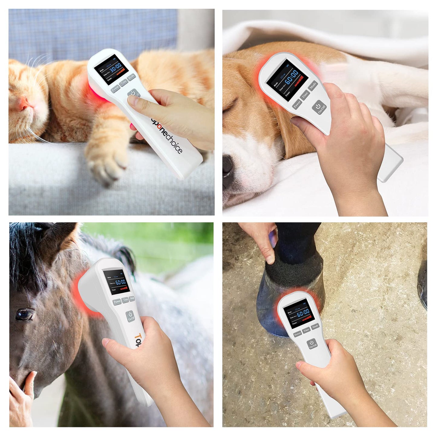 Toponechoice Red Light Therapy Device - 4x808nm+16x650nm Near Infrared Light Therapy for Joint Muscle Pain Relief, Handheld Infrared Therapy for Body, Knee, Shoulder, Back, Dog, Cat, Horse, White - Medaid International