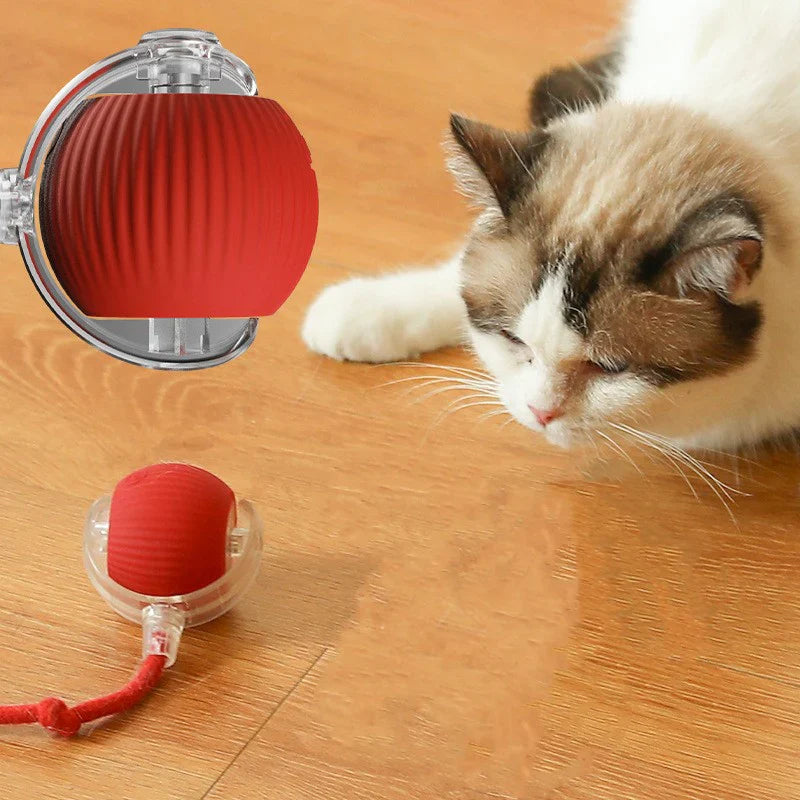 Interactive Pet Rolling Ball كرة تدحرج تفاعلية للحيوانات الأليفة
