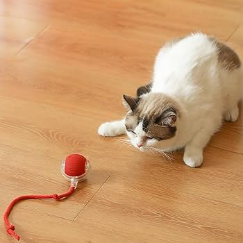 Interactive Pet Rolling Ball كرة تدحرج تفاعلية للحيوانات الأليفة