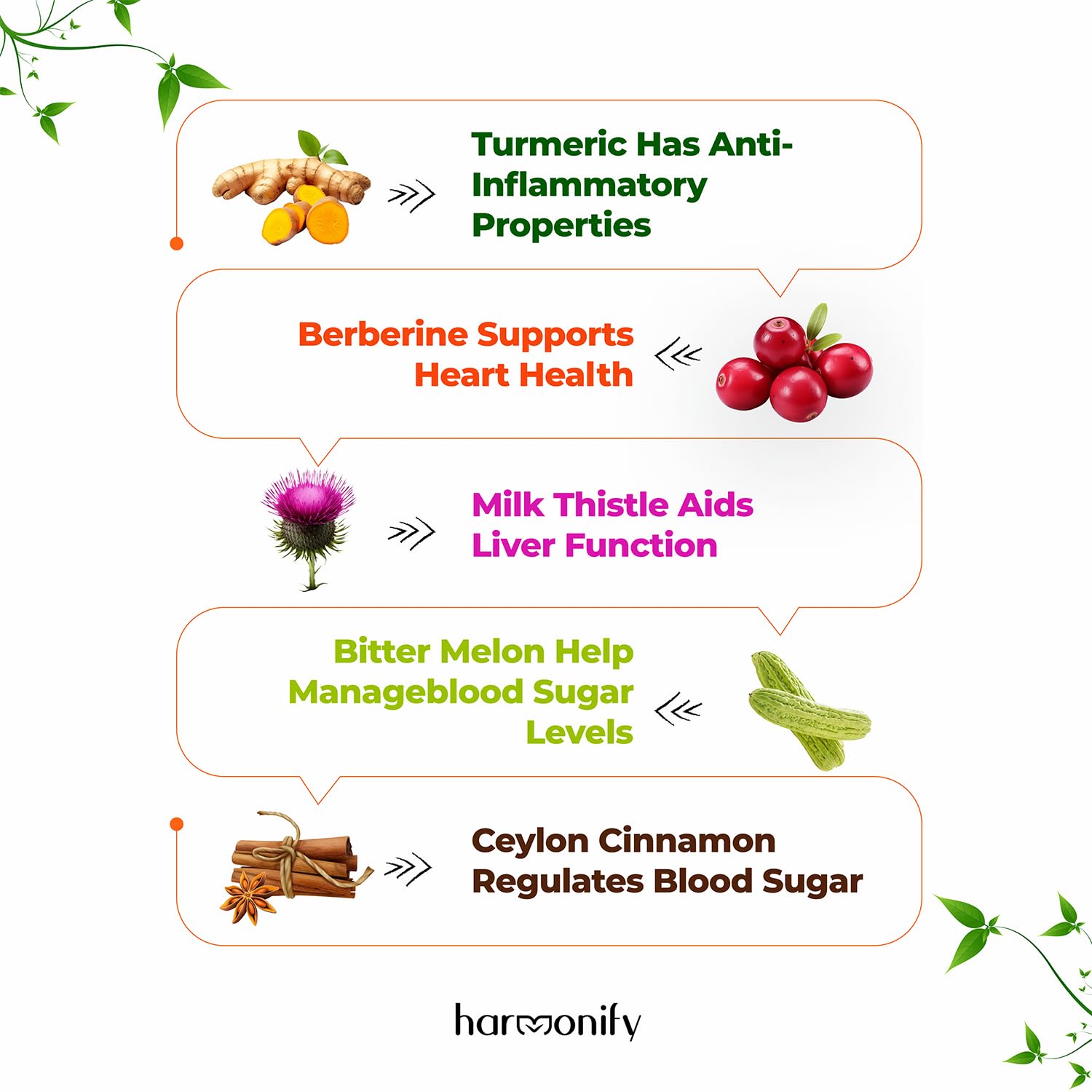 HARMONIFY Berberine Supplement with Ceylon Cinnamon, Milk Thistle, Turmeric, Bitter Melon Complex, 120 Capsules, 1000 mg, Vegan, Non-GMO - Medaid International