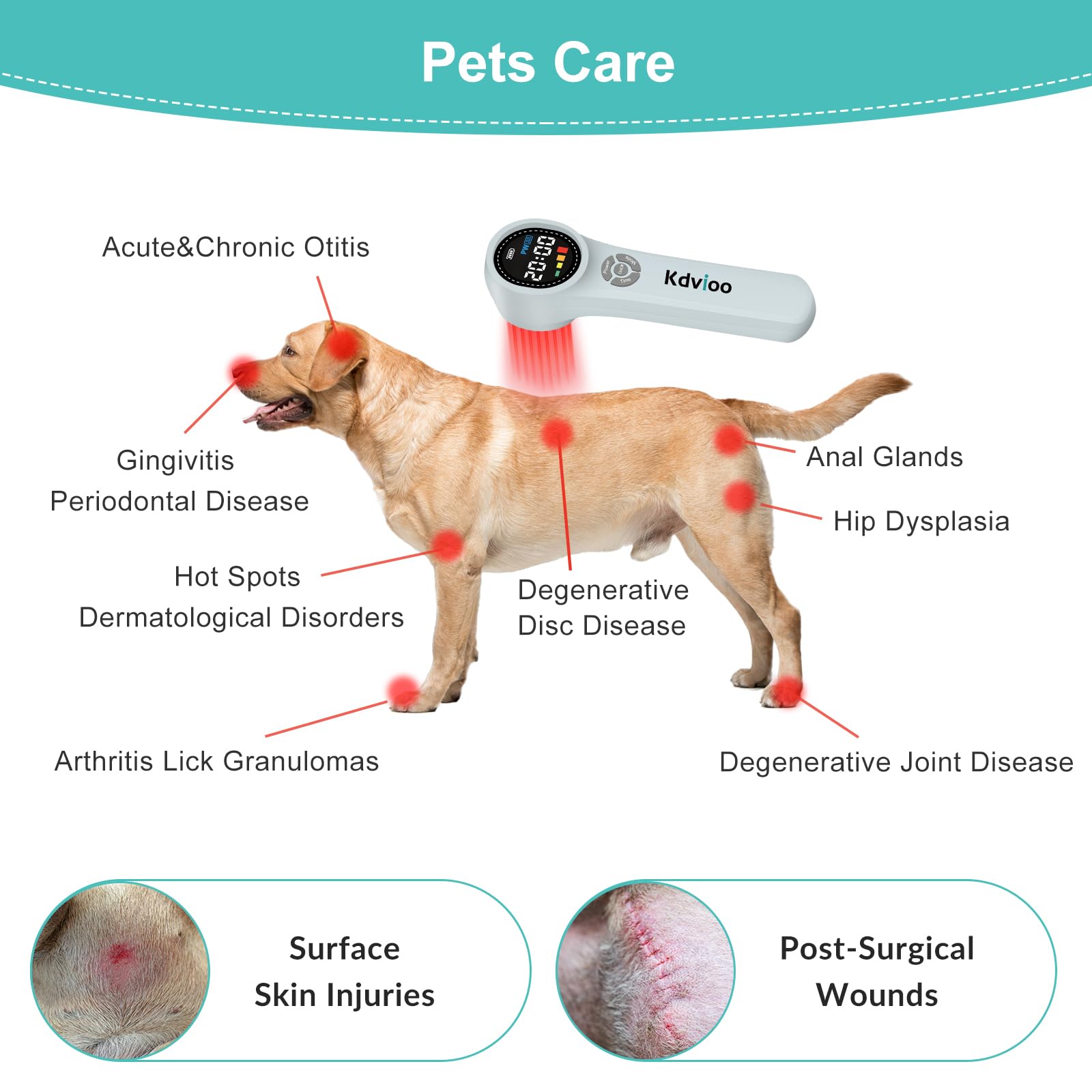 Kdvioo Cold Laser Therapy Device for Dogs,4x980nm+16x660nm+4x810nm Low Level Laser Therapy,Handheld Laser Therapy Device,Pet Laser Therapy for Dogs Cats Muscle & Joint Pain Relief,Reduce Inflammation - Medaid International