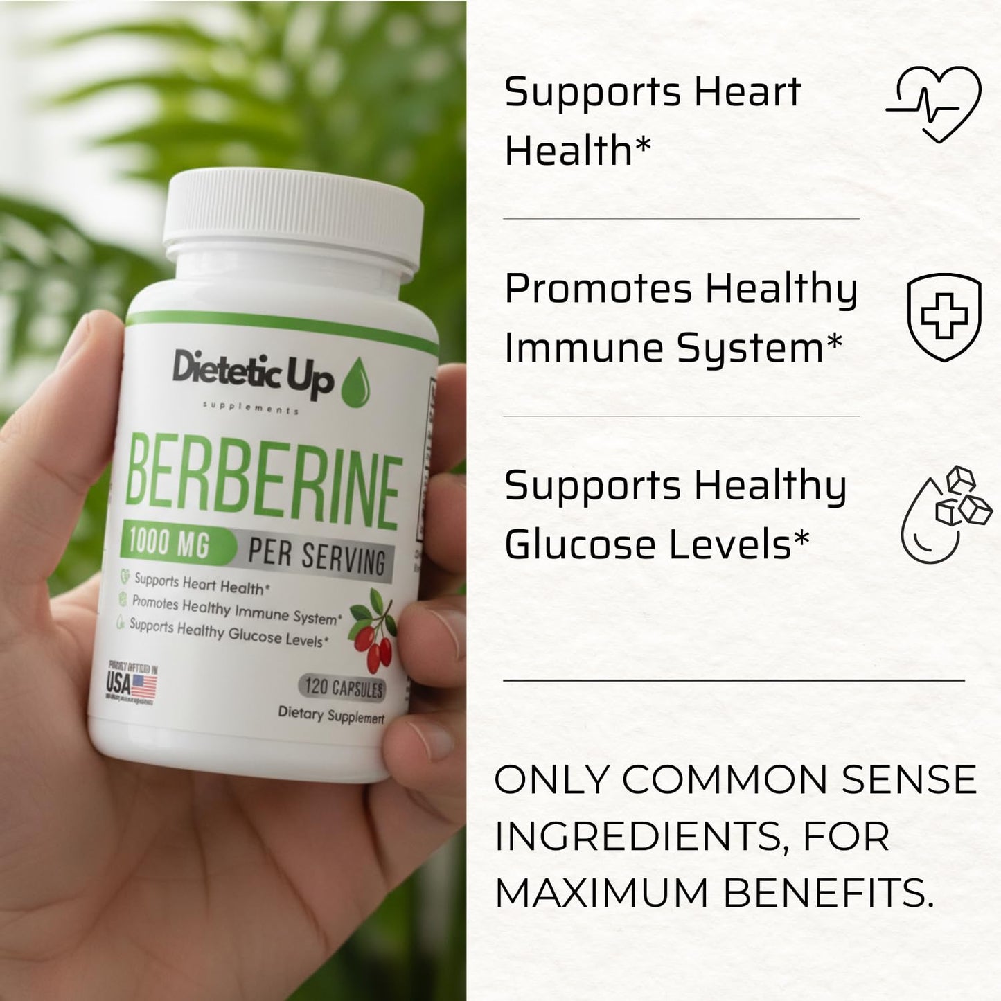 Dietetic Up Berberine 500mg HCL - 120 Capsules - USA Formulated - Third Party Lab Tested - Organic Supplement - Gluten Free - Vegan - Non GMO - 60 Days Supply - 1000mg per Serving - Medaid International