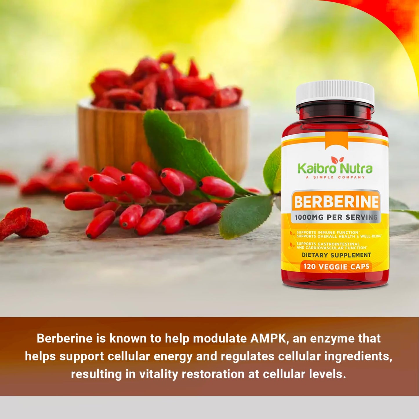 Kaibro Nutra Berberine Supplement 1000mg, Berberine HCL for Immune System, Glucose Support, Circulatory & Gastrointestinal Health, Vegan & Gluten-Free, 120 Capsules - Medaid International