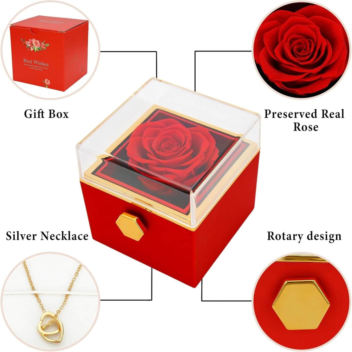 Eternal Rose with Necklace & Real rose