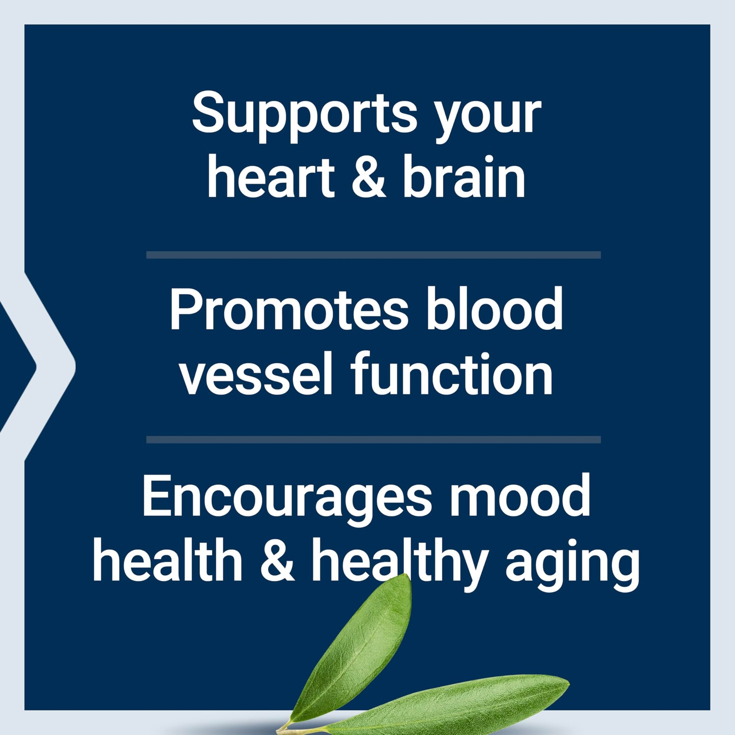 Life Extension Super Omega-3 EPA/DHA Fish Oil, Sesame Lignans & Olive Extract – Heart Health, Brain Health, Inflammation Health Support, Gluten-Free, Enteric-Coated, Non-GMO, 120 Softgels - Medaid International