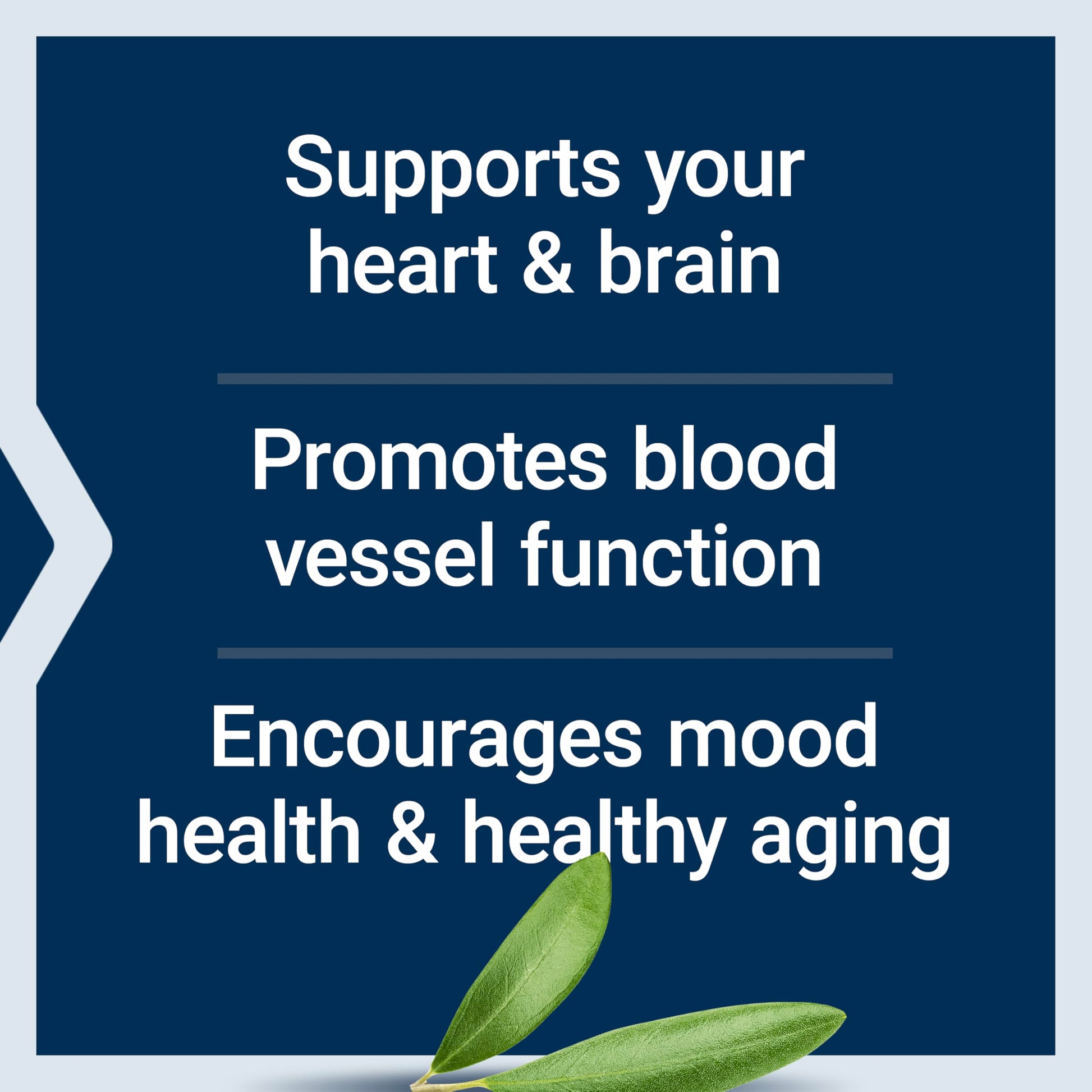 Life Extension Super Omega-3 EPA/DHA Fish Oil, Sesame Lignans & Olive Extract – Heart Health, Brain Health, Inflammation Health Support, Gluten-Free, Enteric-Coated, Non-GMO, 120 Softgels - Medaid International
