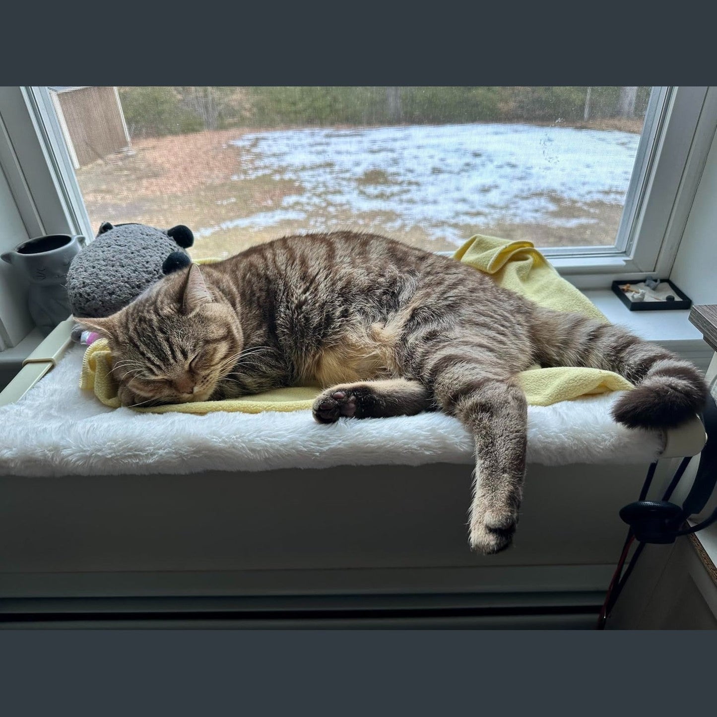 MEWOOFUN Window Sill Perch for Indoor Cats hammock