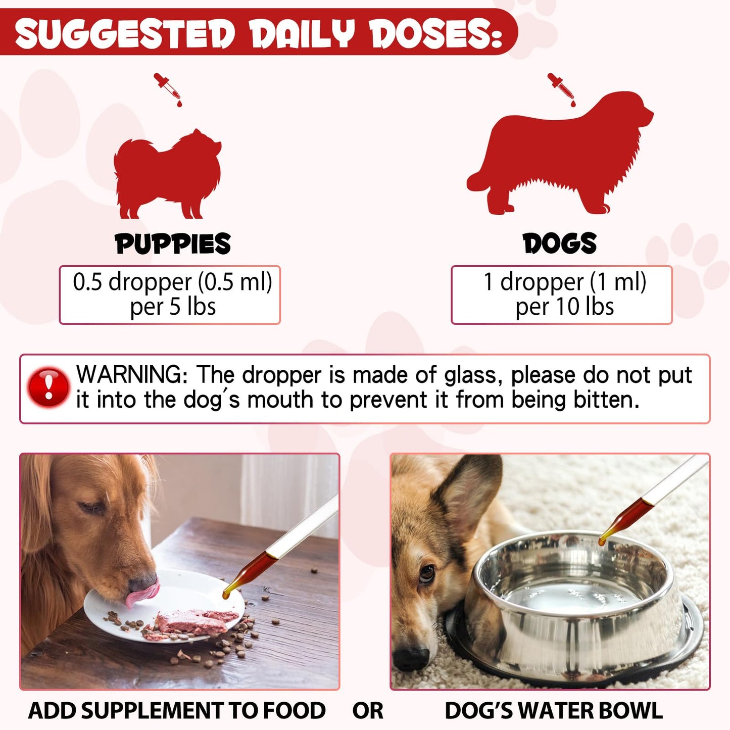 Iron Supplements for Dogs, Liquid Iron for Dogs with Folate and B12 Supports Anemia, Supplement for Anemia, Promotes Blood Health 2 oz - Medaid International