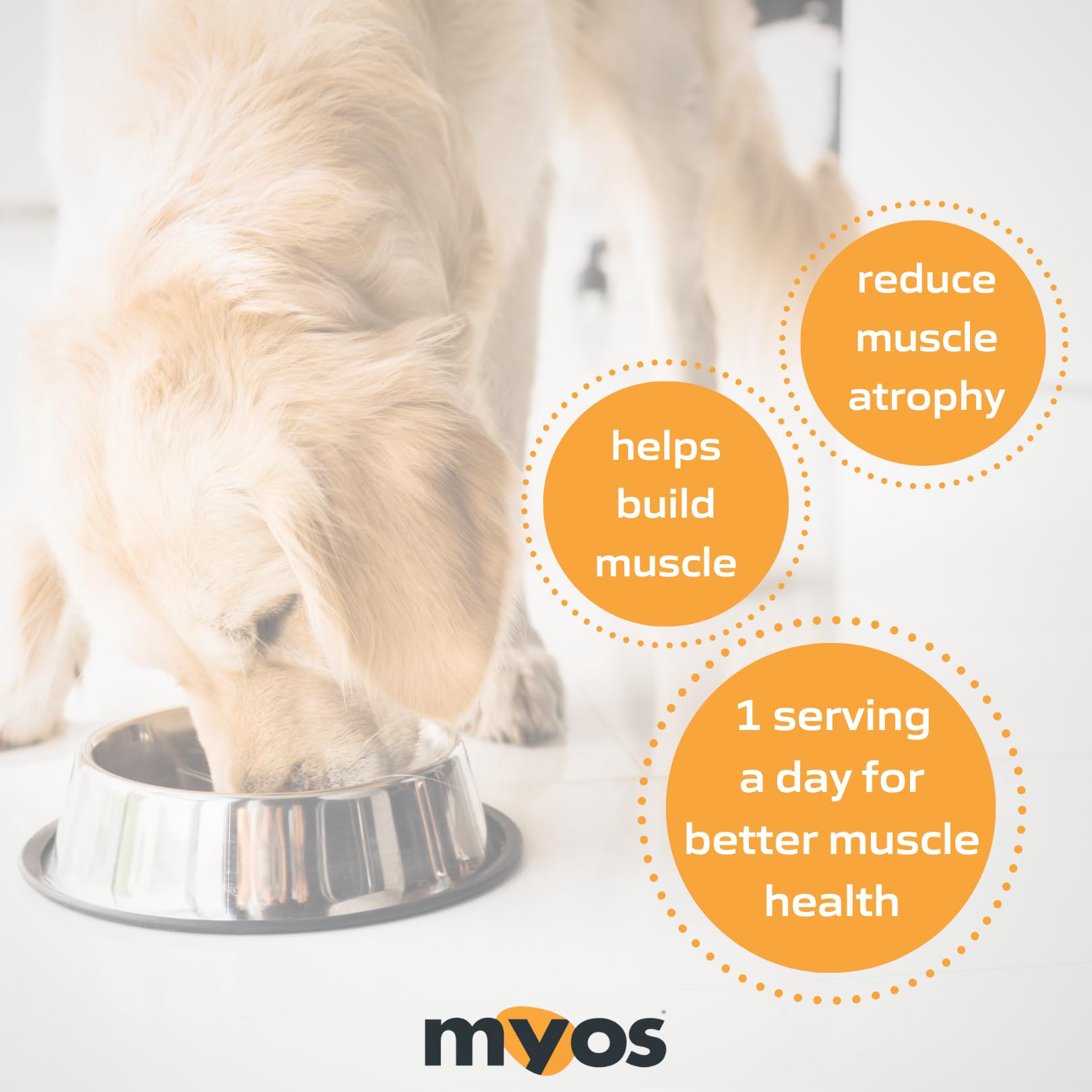 MYOS Canine Muscle & Joint Health Bundle – Fortetropin® Powder (396g) + Bacon-Flavored Mobility Chews with Collagen & Glucosamine (60 Count) - Medaid International