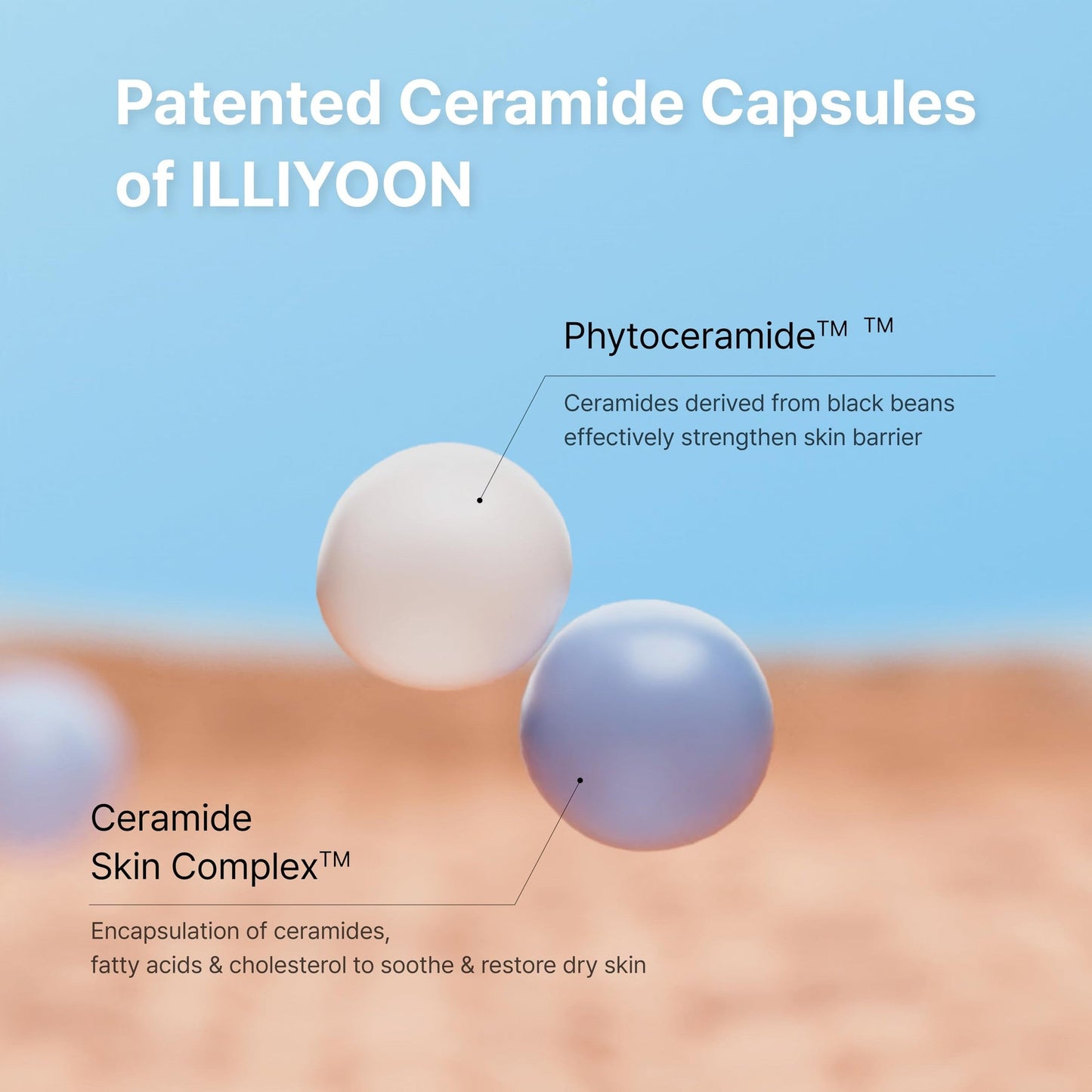 Illiyoon Ceramide Ato Concentrate Cream | Moisturizer for Dry & Sensitive Skin, 100hr Lasting Hydration, For Face & Body, Gentle for Infants, Moisture Barrier Repair, Vegan Certified, 2.53 fl.oz. - Medaid International