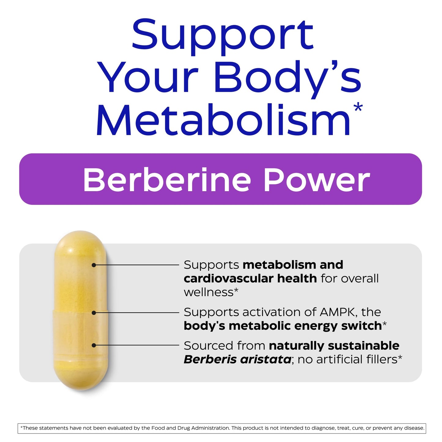 Enzymedica, Berberine Supplement, HCl, 510mg, Berberine, for Overall Health and Wellness, Vegan, No Artificial fillers, 60 Count - Medaid International